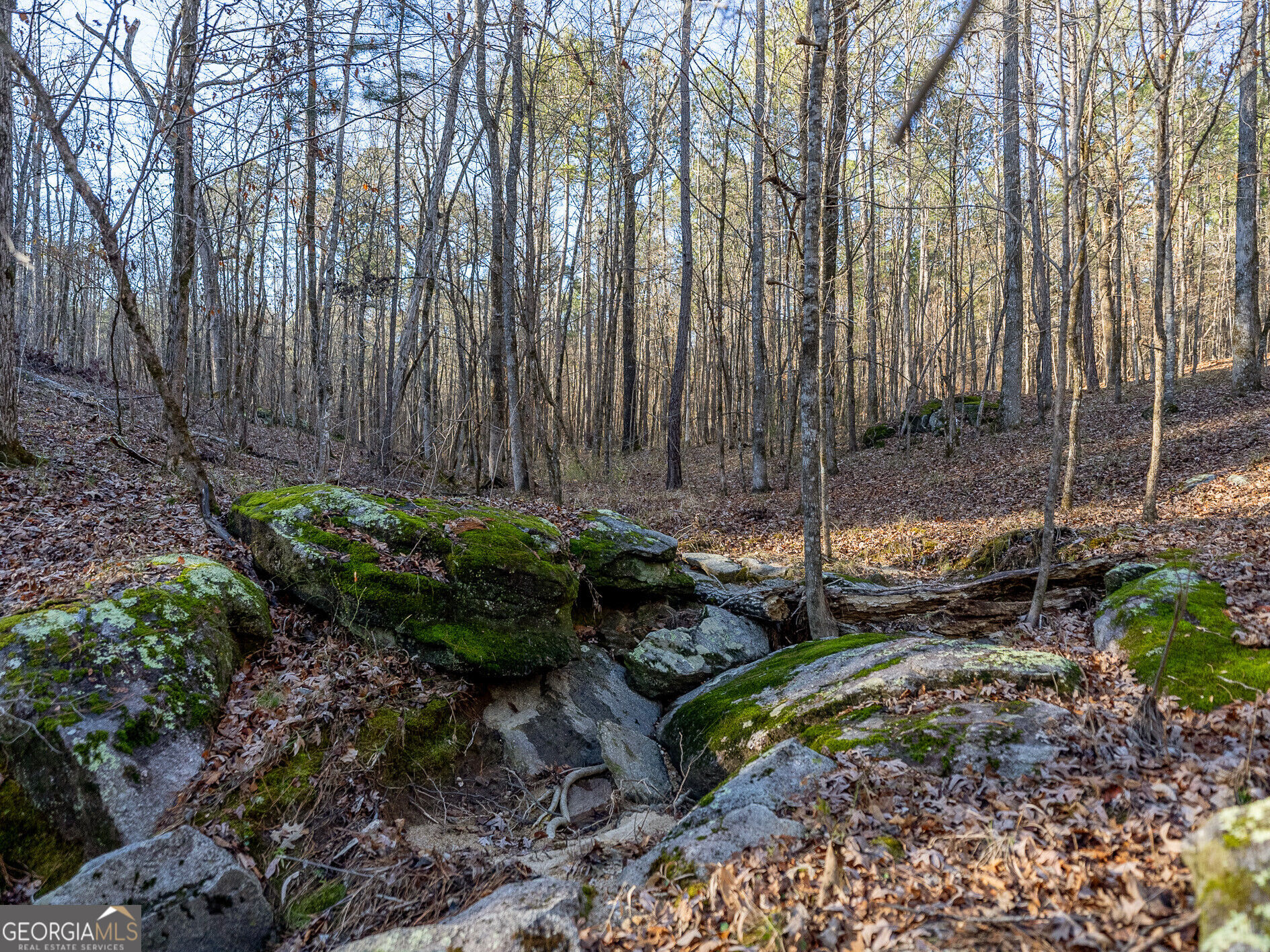 Tract 2 Dennis Creek Road Talbotton GA 31827