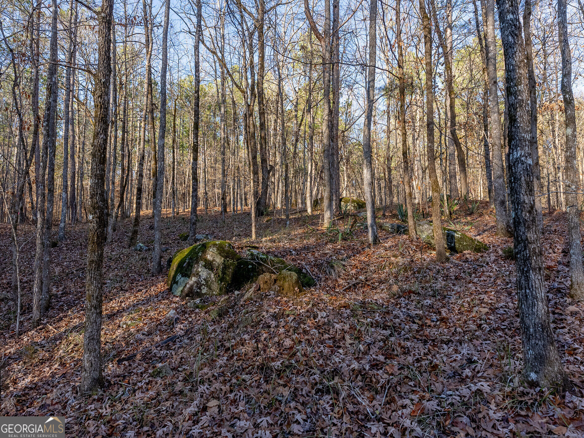 Tract 2 Dennis Creek Road Talbotton GA 31827