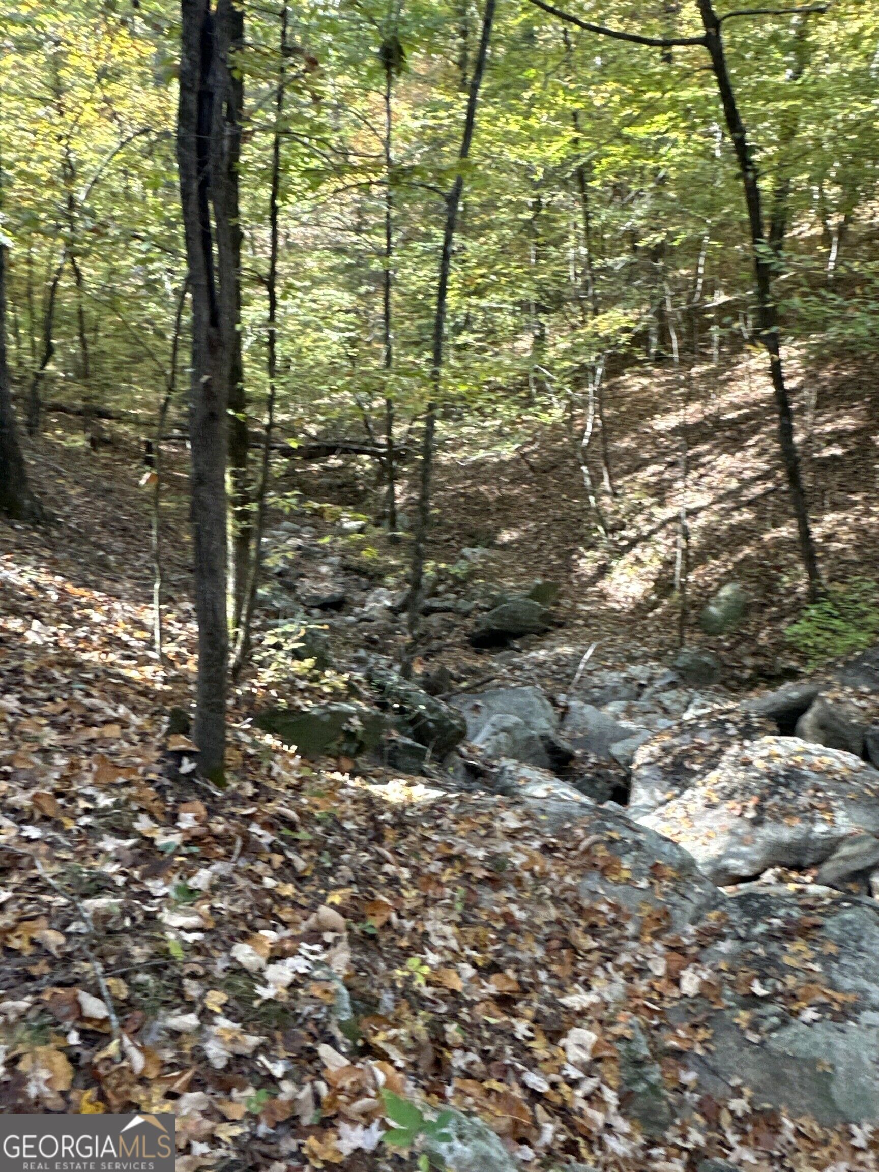 Tract 2 Dennis Creek Road Talbotton GA 31827