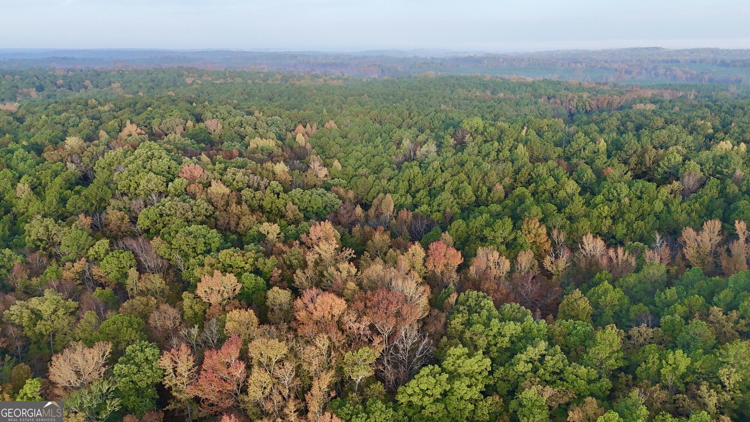 Tract 2 Dennis Creek Road Talbotton GA 31827