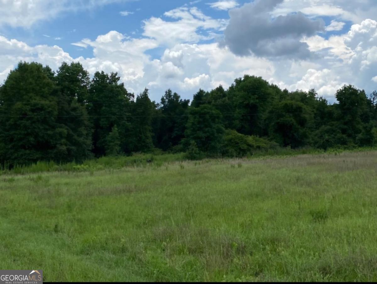 1220 State Route 49 Oglethorpe GA 31068