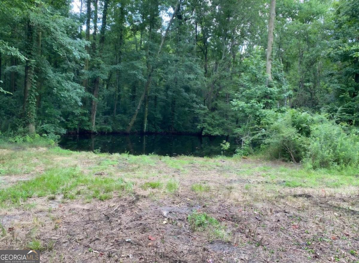 1220 State Route 49 Oglethorpe GA 31068