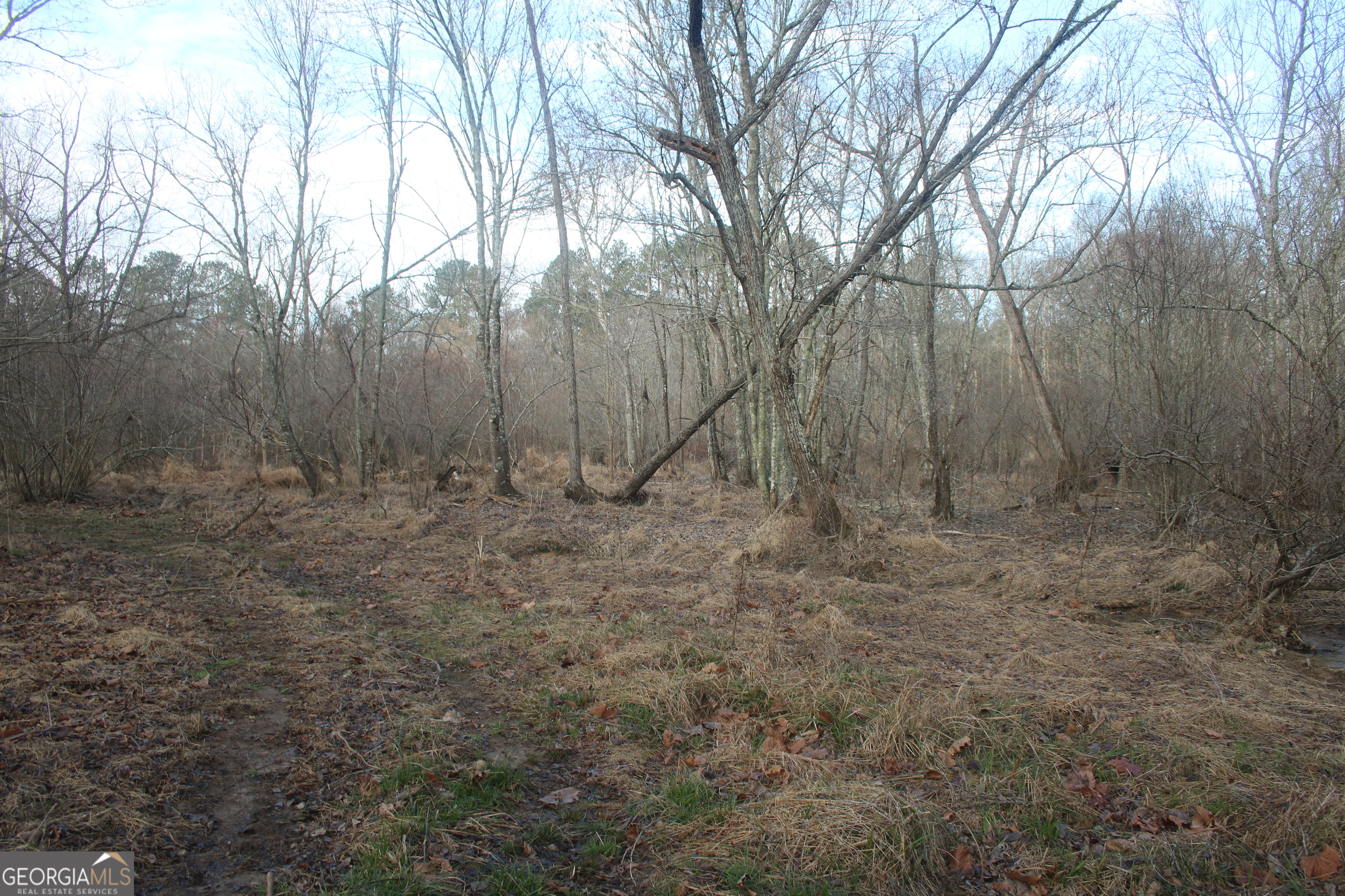 0 Upper Big Springs Road Lagrange GA 30241