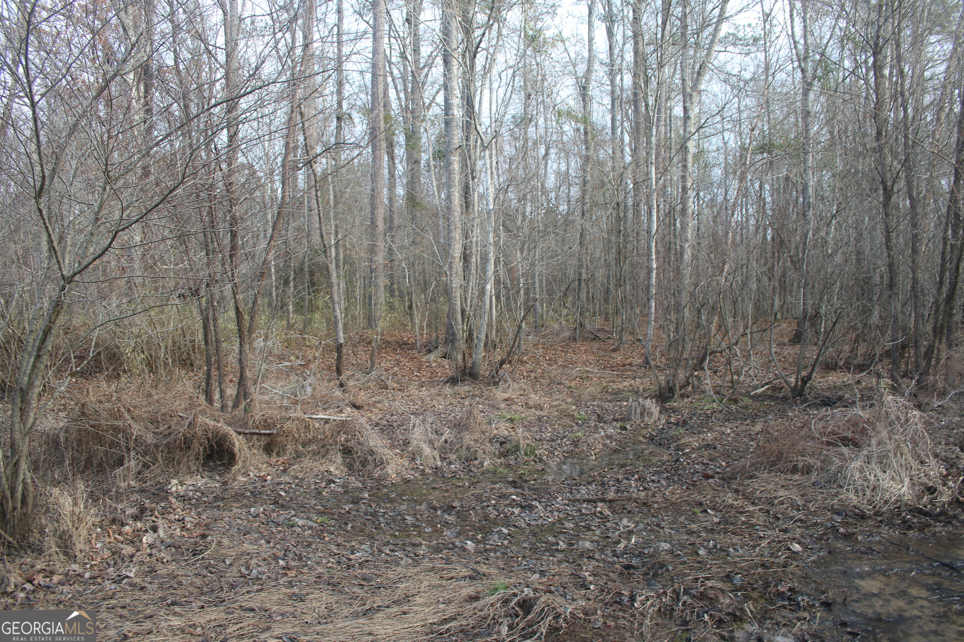 0 Upper Big Springs Road Lagrange GA 30241