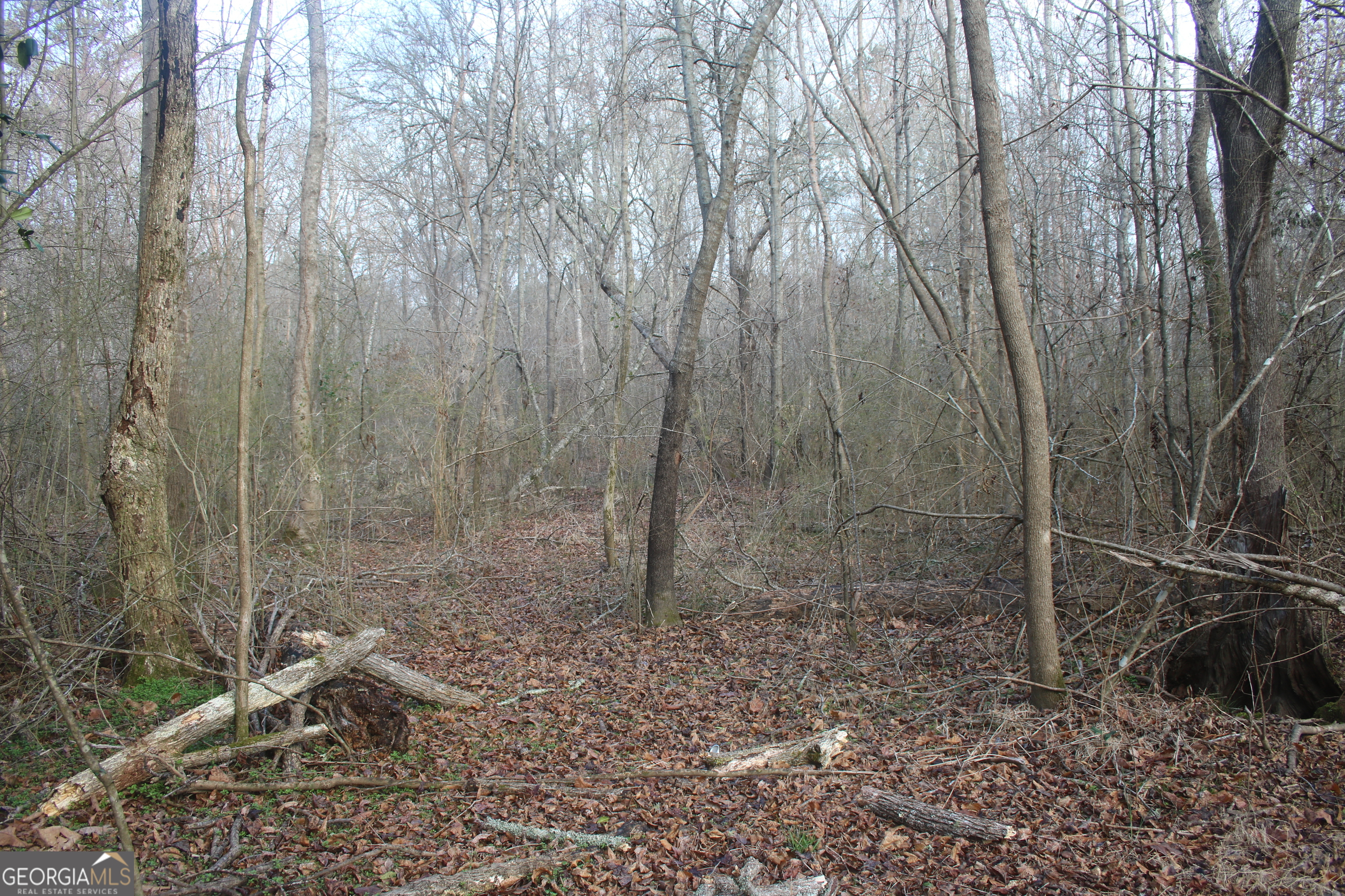 0 Upper Big Springs Road Lagrange GA 30241