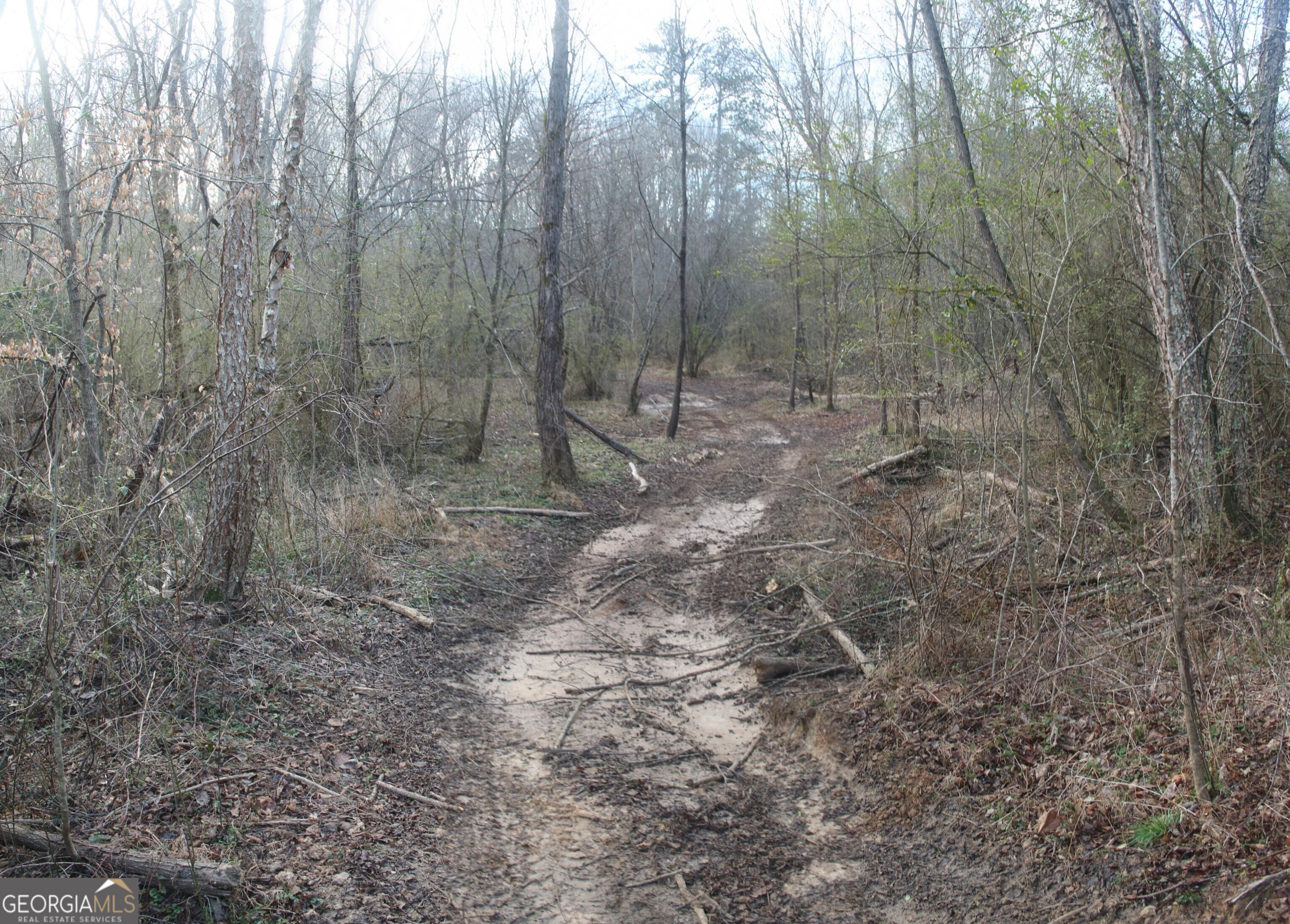 0 Upper Big Springs Road Lagrange GA 30241