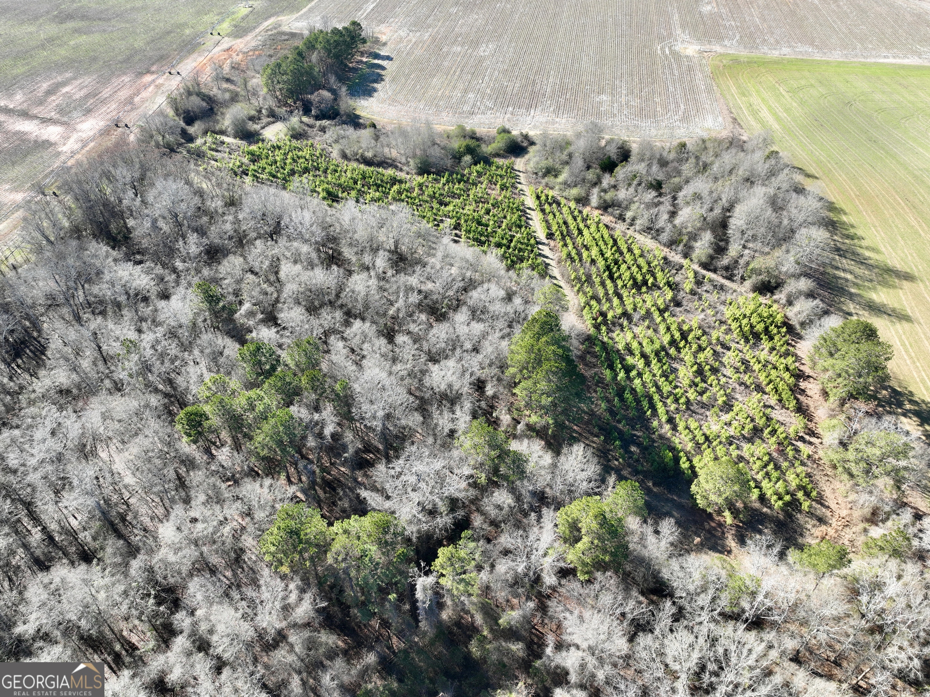 0 Jenkins Farm Road Byromville GA 31007