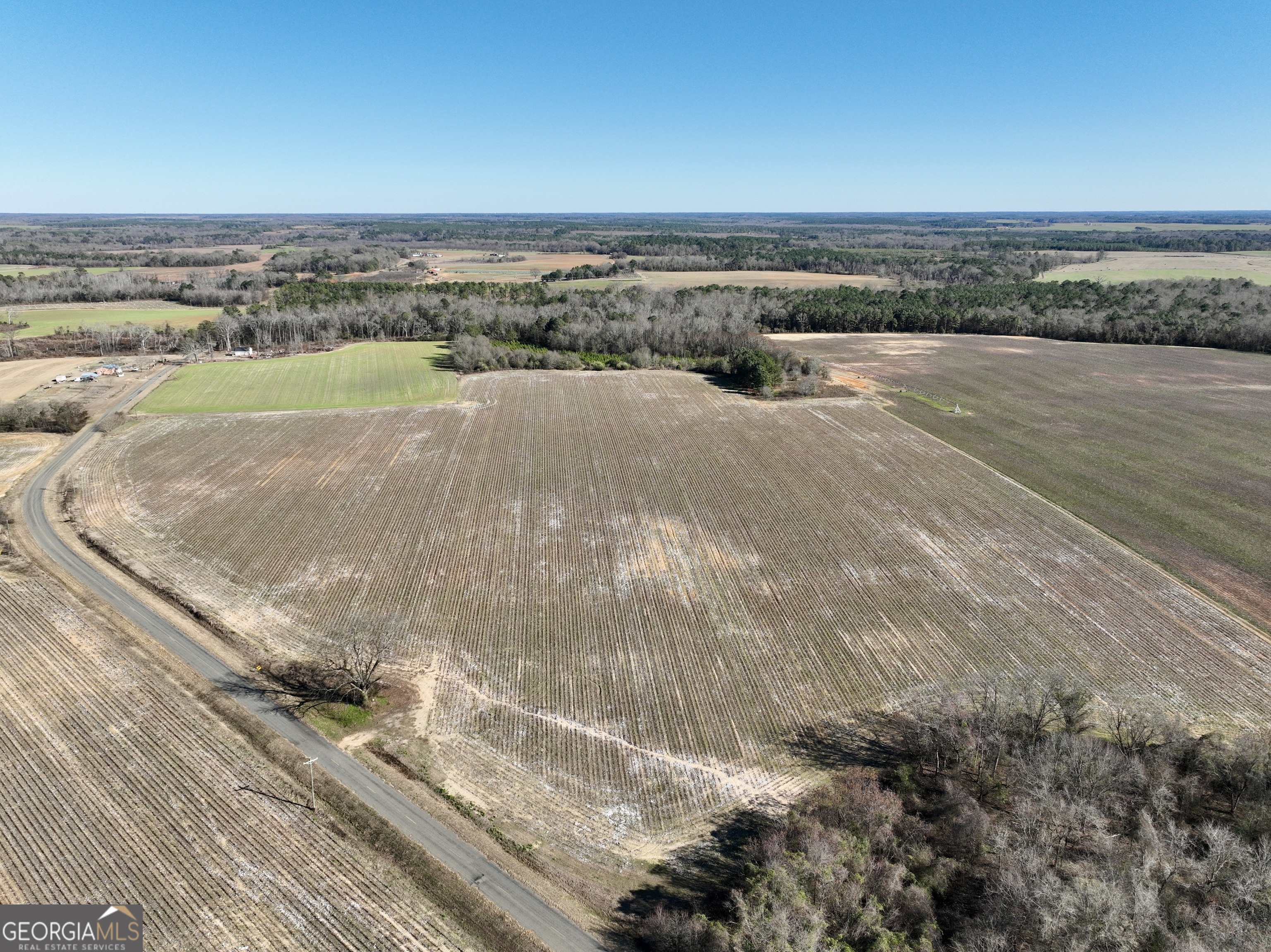 0 Jenkins Farm Road Byromville GA 31007