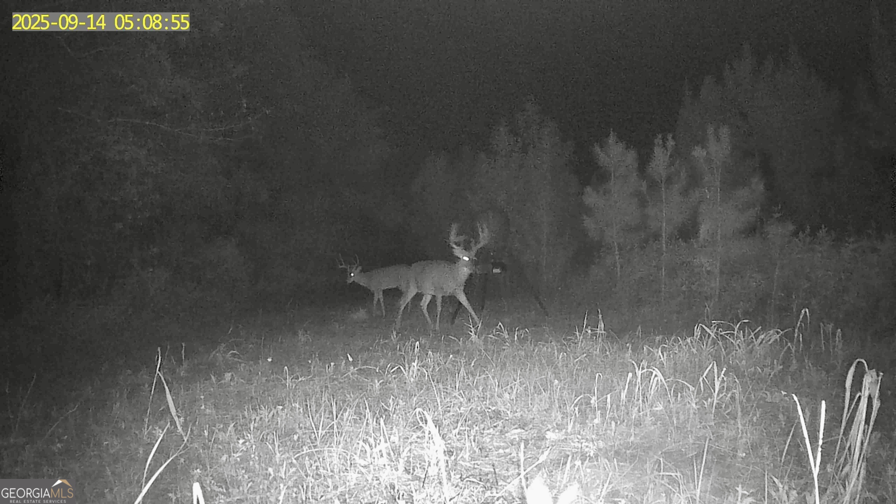 0 Jenkins Farm Road Byromville GA 31007
