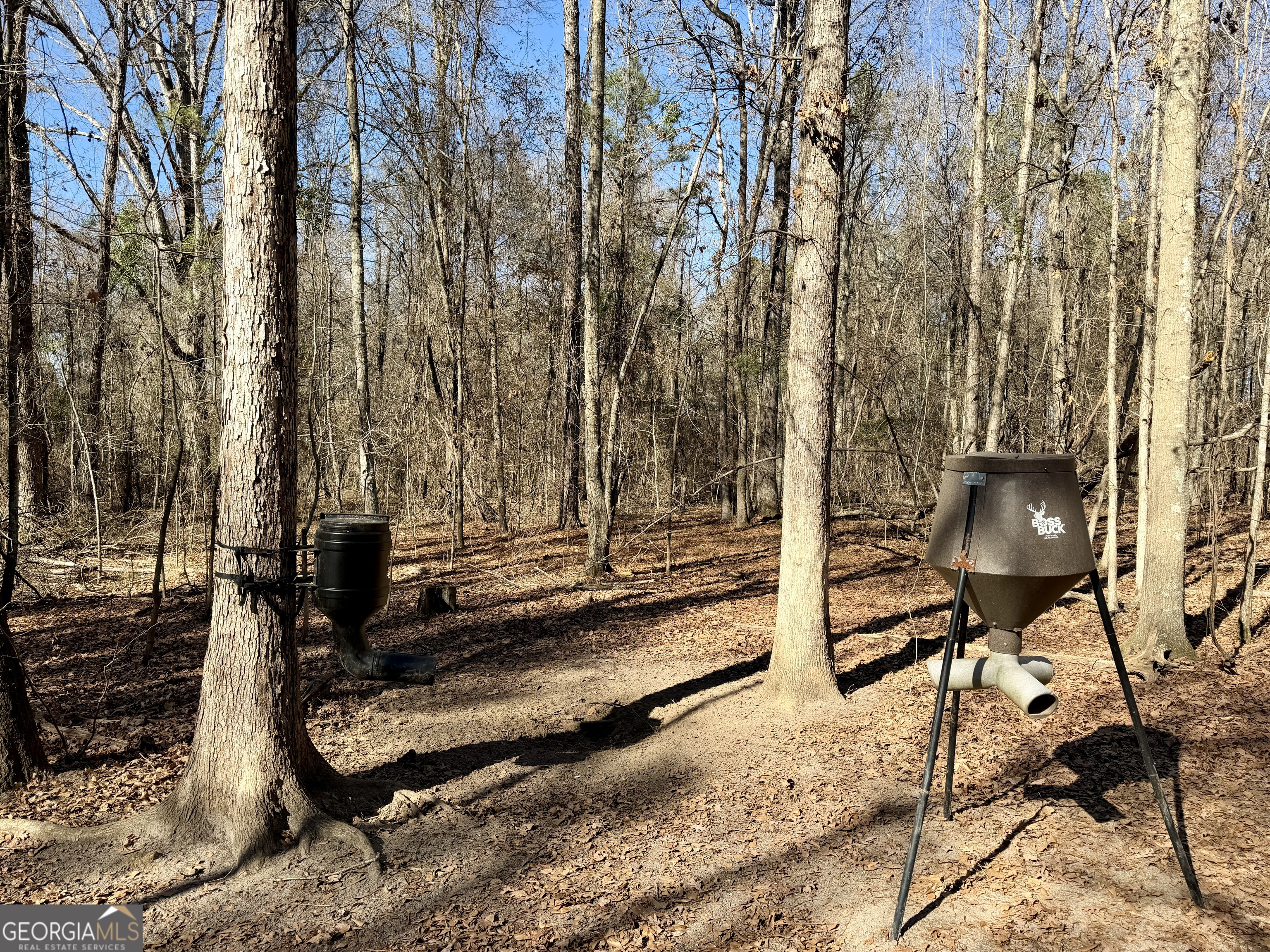 0 Jenkins Farm Road Byromville GA 31007