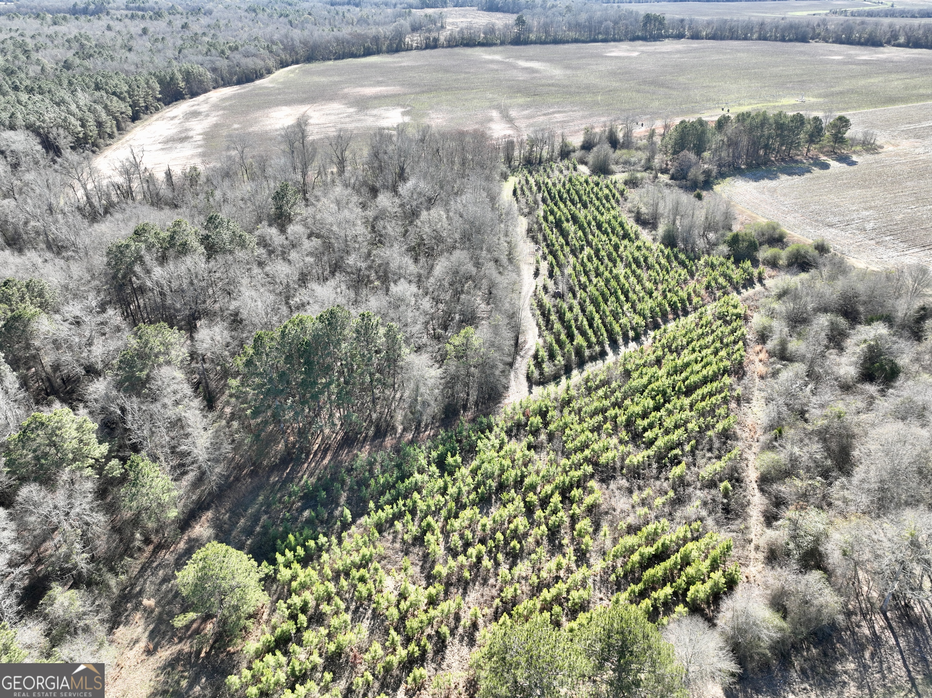 0 Jenkins Farm Road Byromville GA 31007