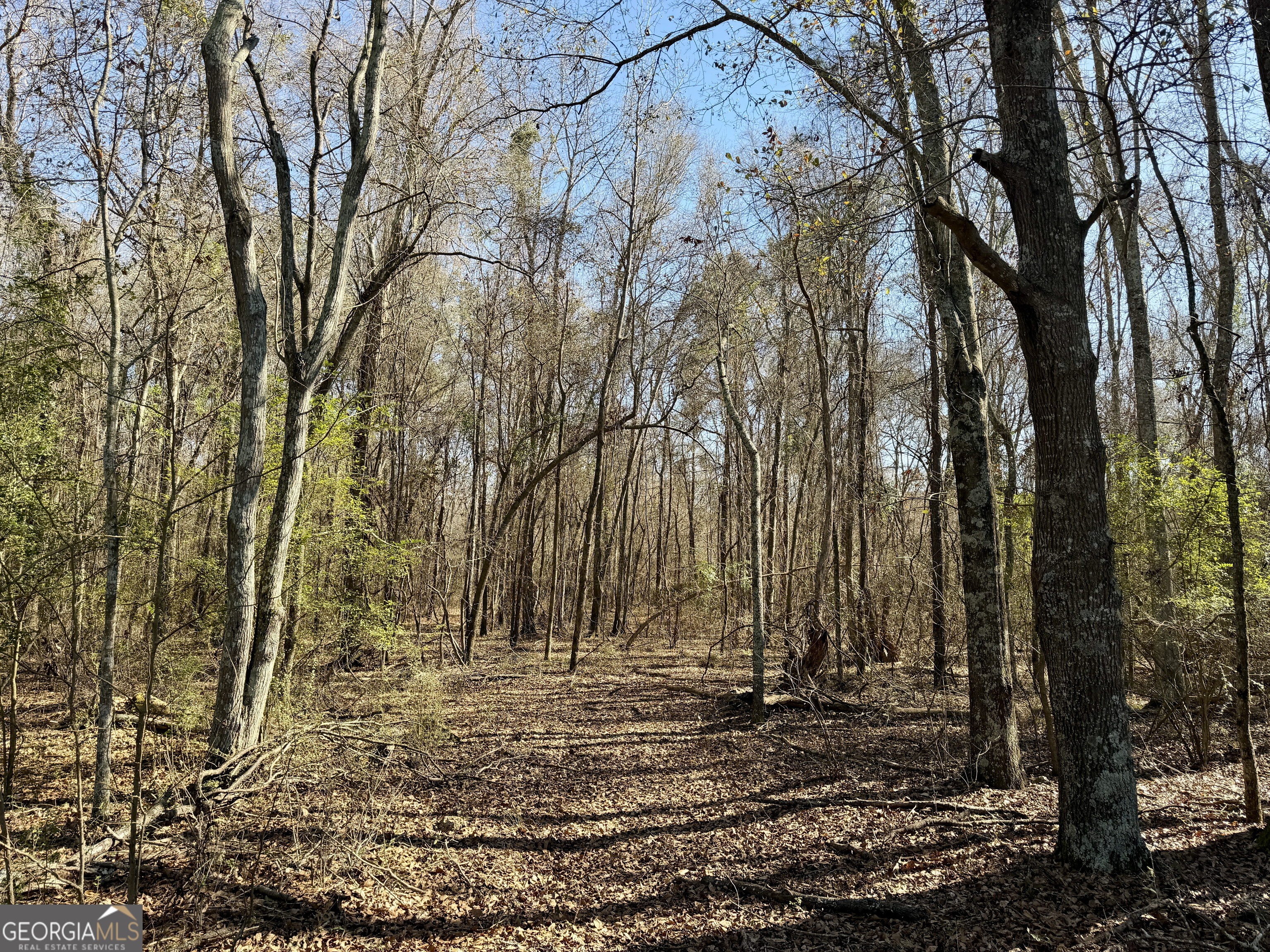 0 Jenkins Farm Road Byromville GA 31007