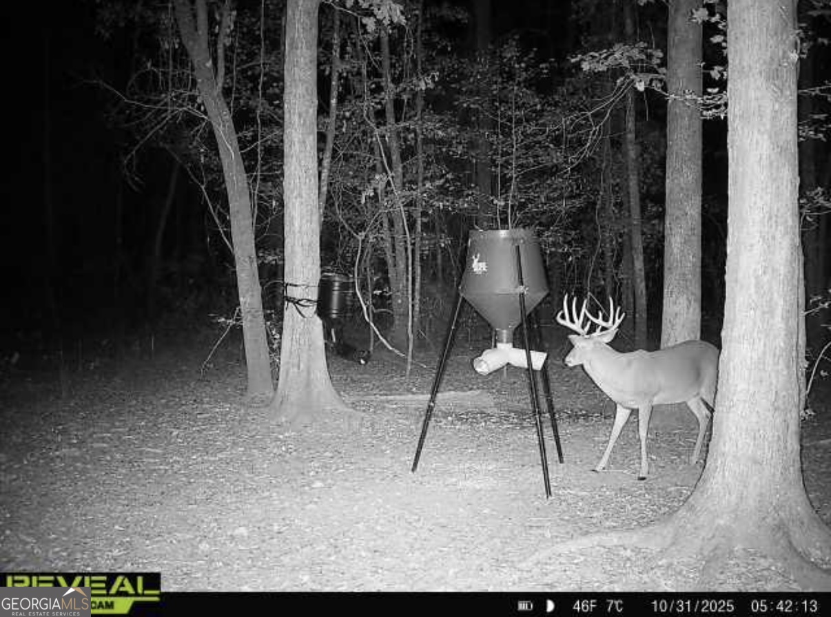 0 Jenkins Farm Road Byromville GA 31007