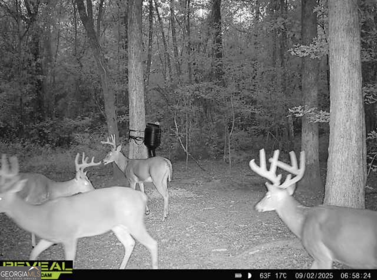 0 Jenkins Farm Road Byromville GA 31007