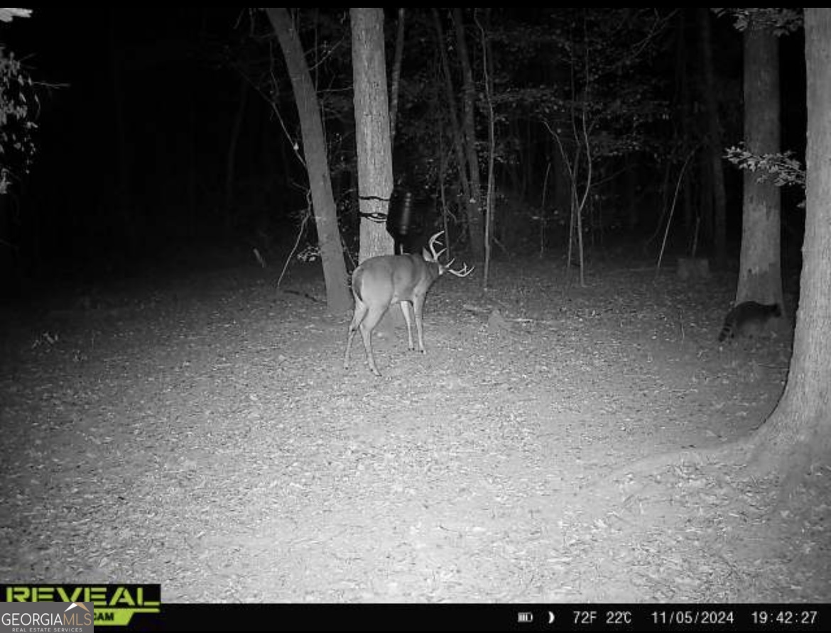 0 Jenkins Farm Road Byromville GA 31007