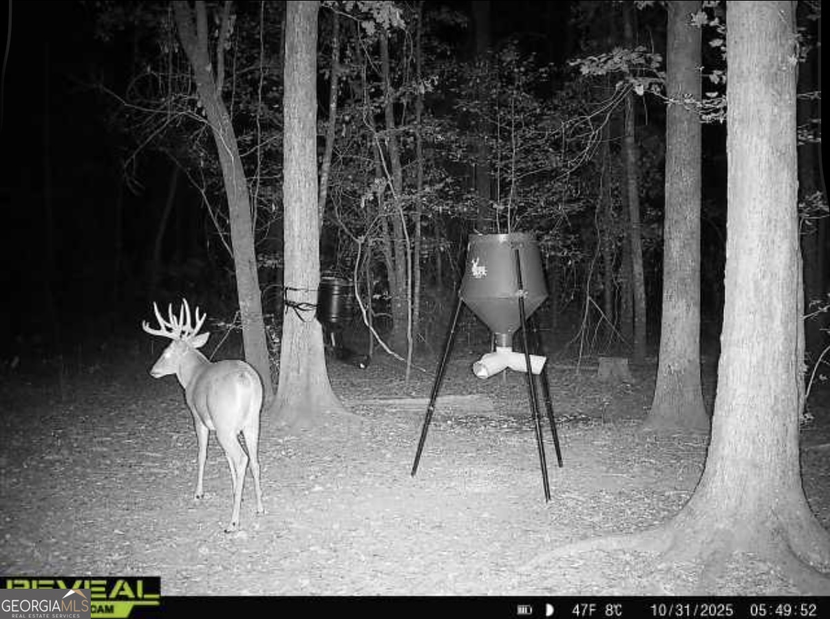 0 Jenkins Farm Road Byromville GA 31007