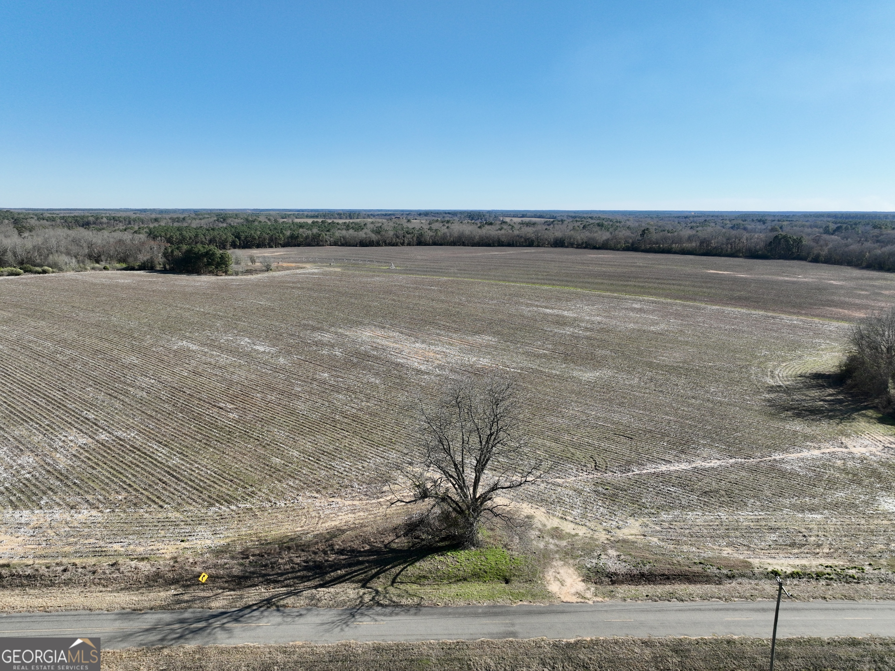 0 Jenkins Farm Road Byromville GA 31007