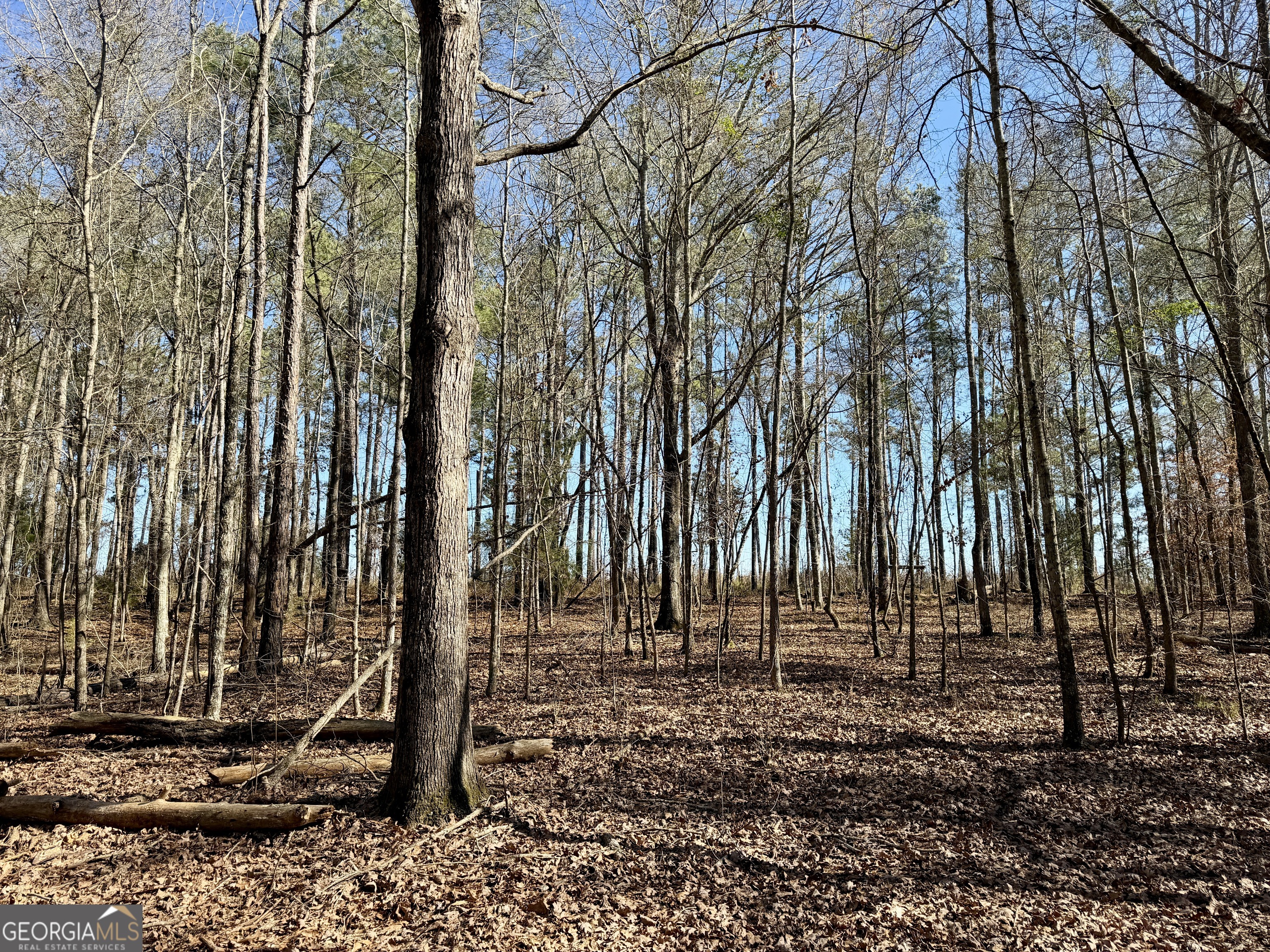 0 Jenkins Farm Road Byromville GA 31007