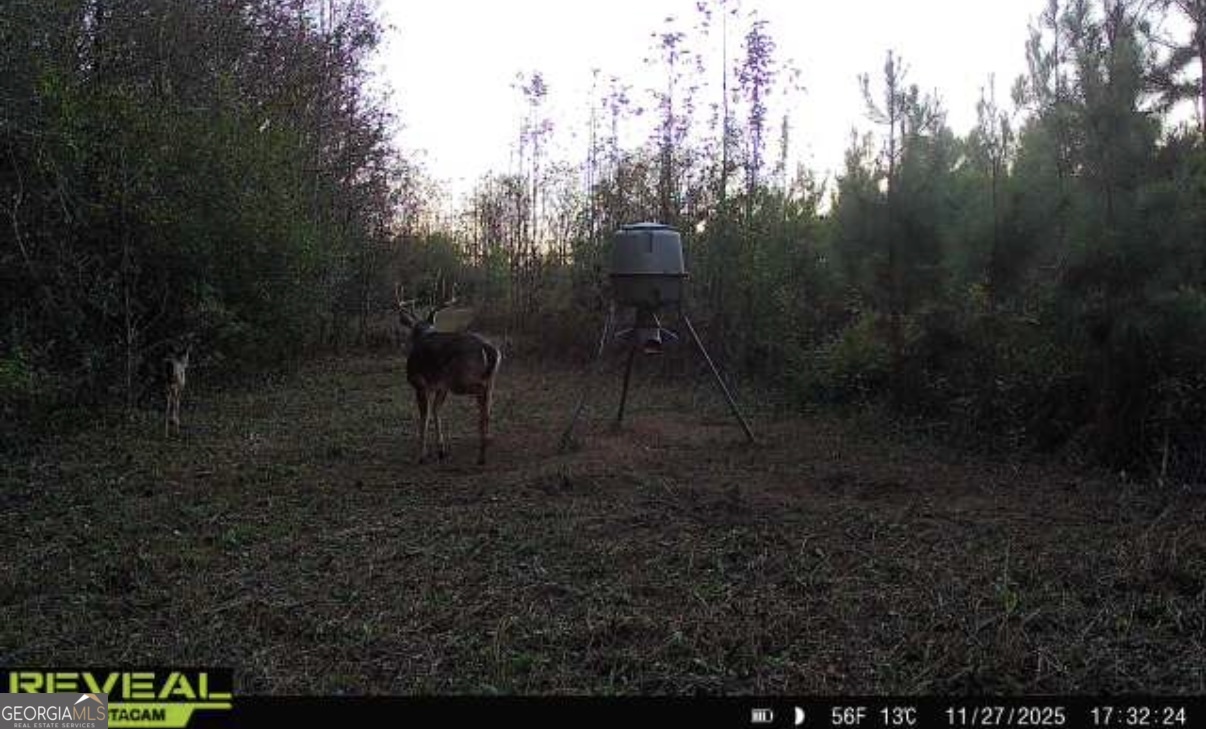 0 Jenkins Farm Road Byromville GA 31007