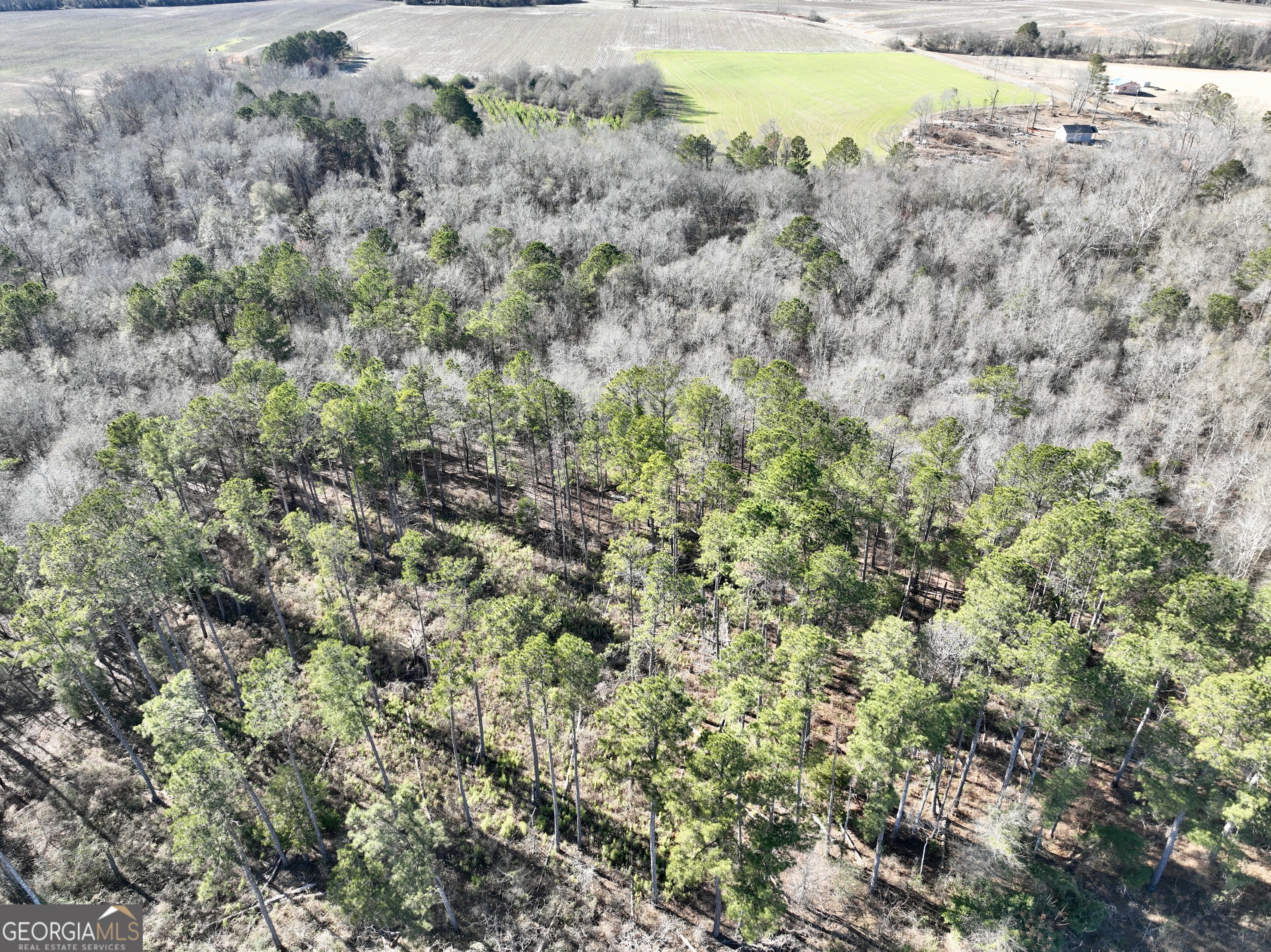 0 Jenkins Farm Road Byromville GA 31007