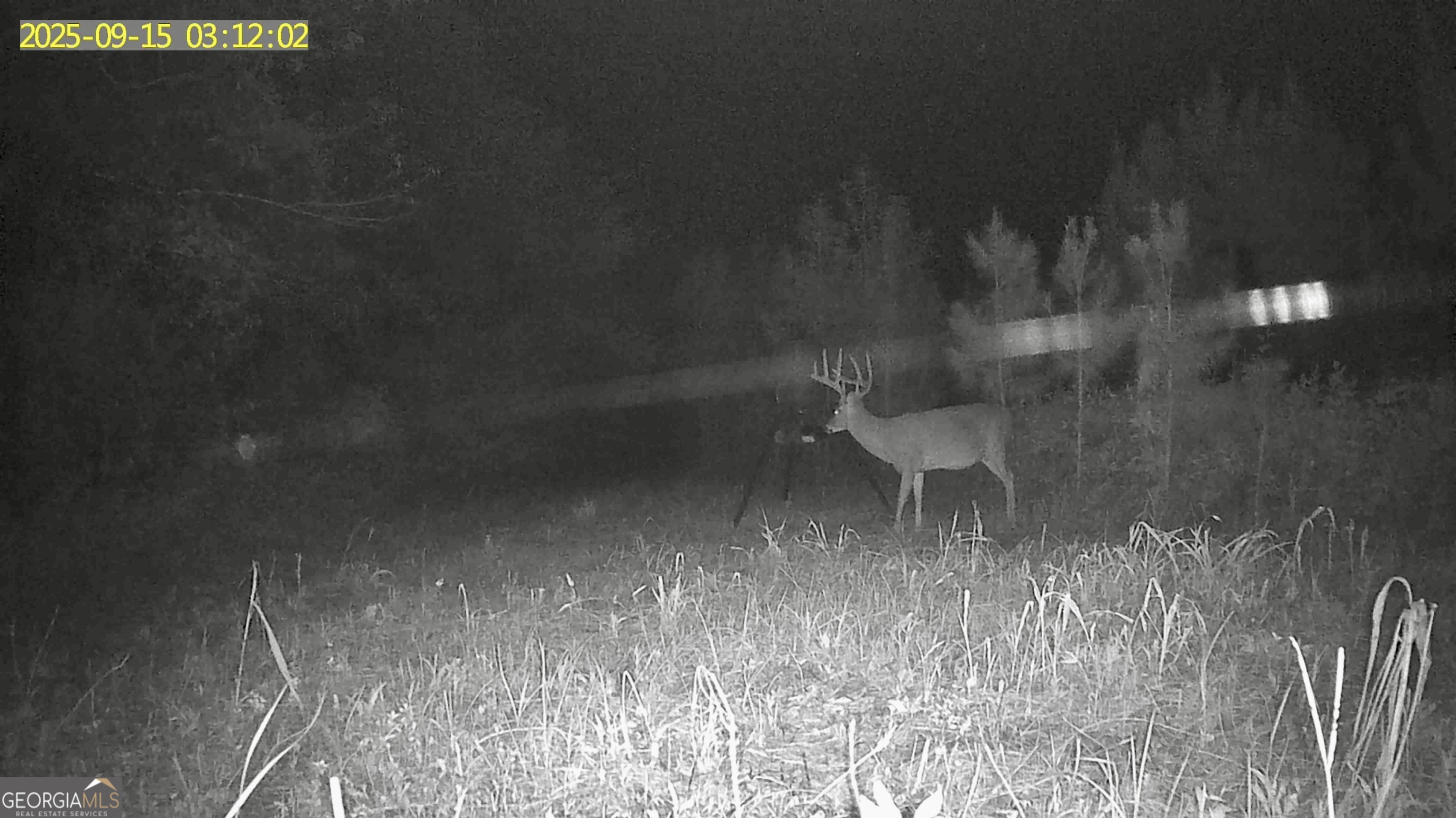 0 Jenkins Farm Road Byromville GA 31007