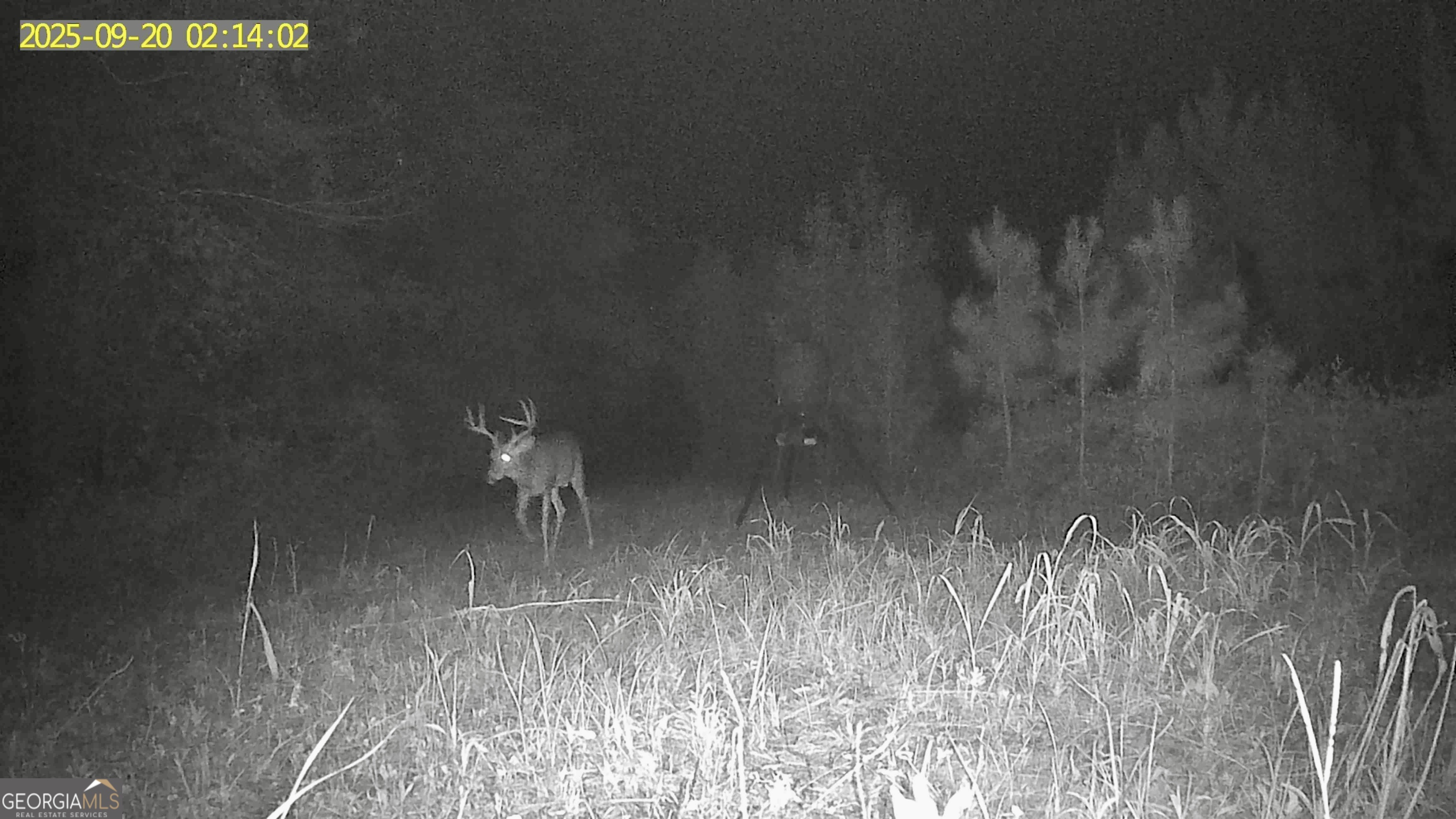 0 Jenkins Farm Road Byromville GA 31007
