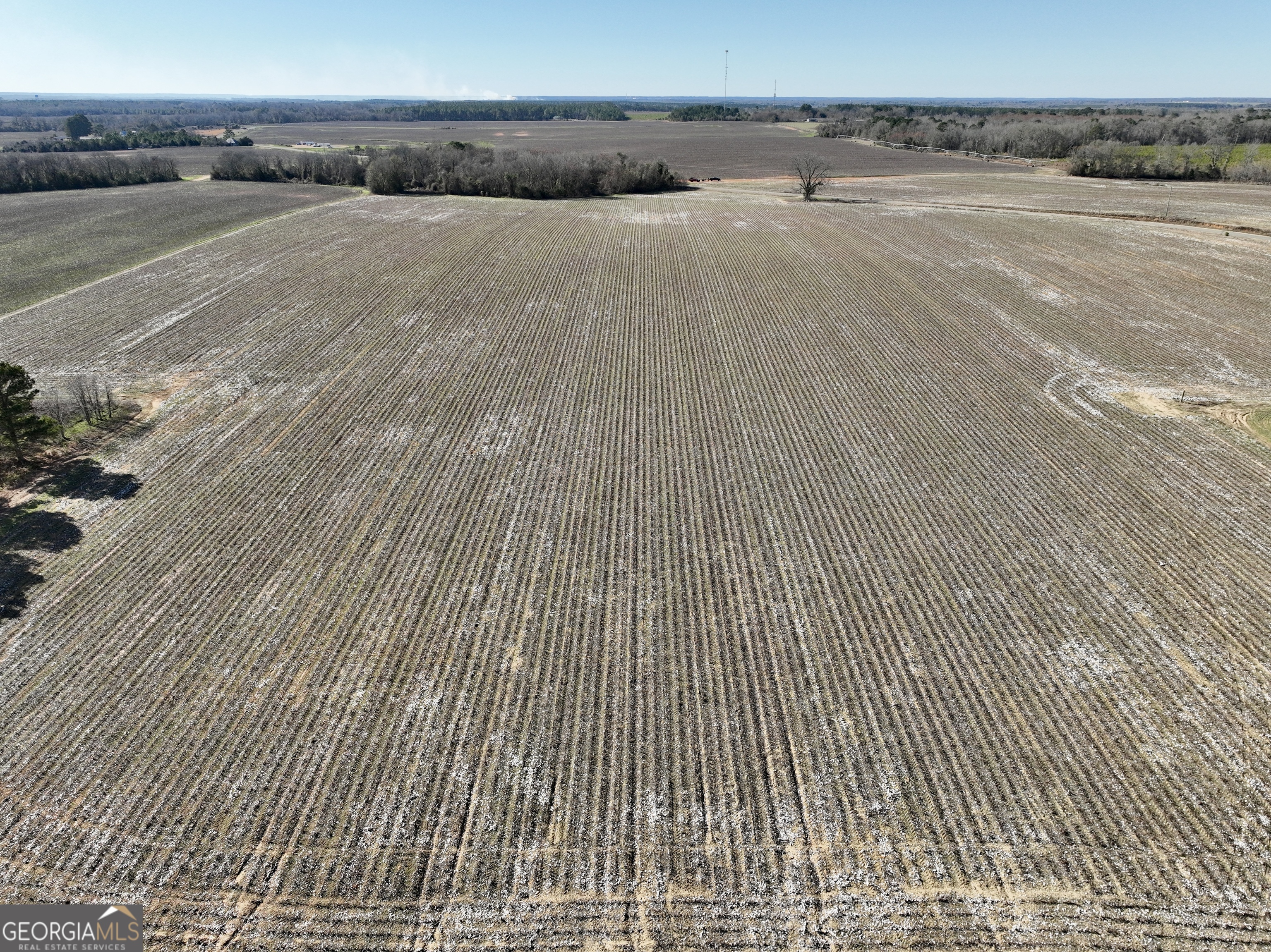 0 Jenkins Farm Road Byromville GA 31007