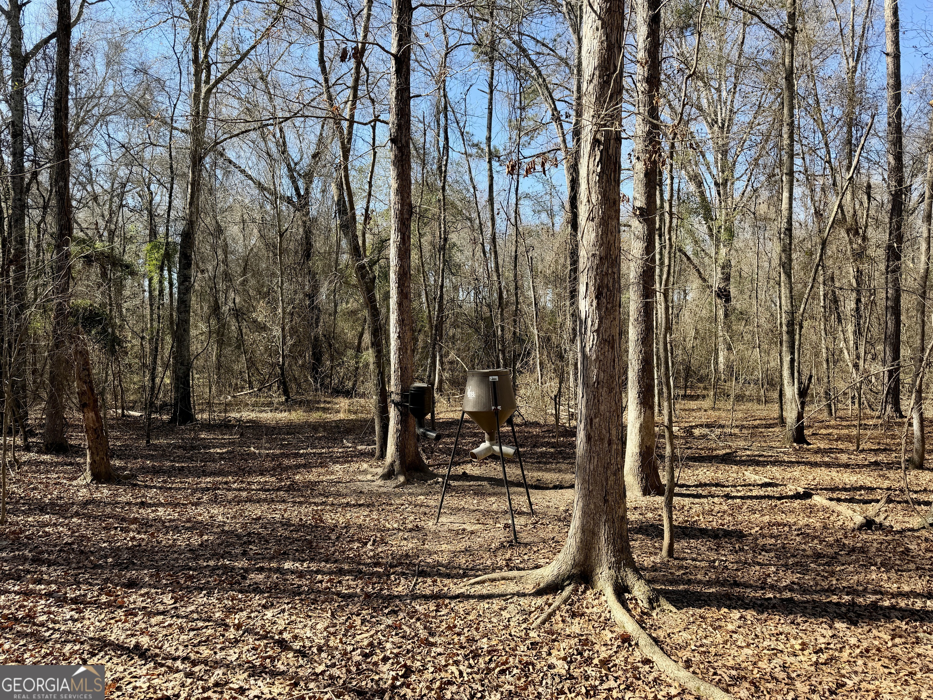 0 Jenkins Farm Road Byromville GA 31007