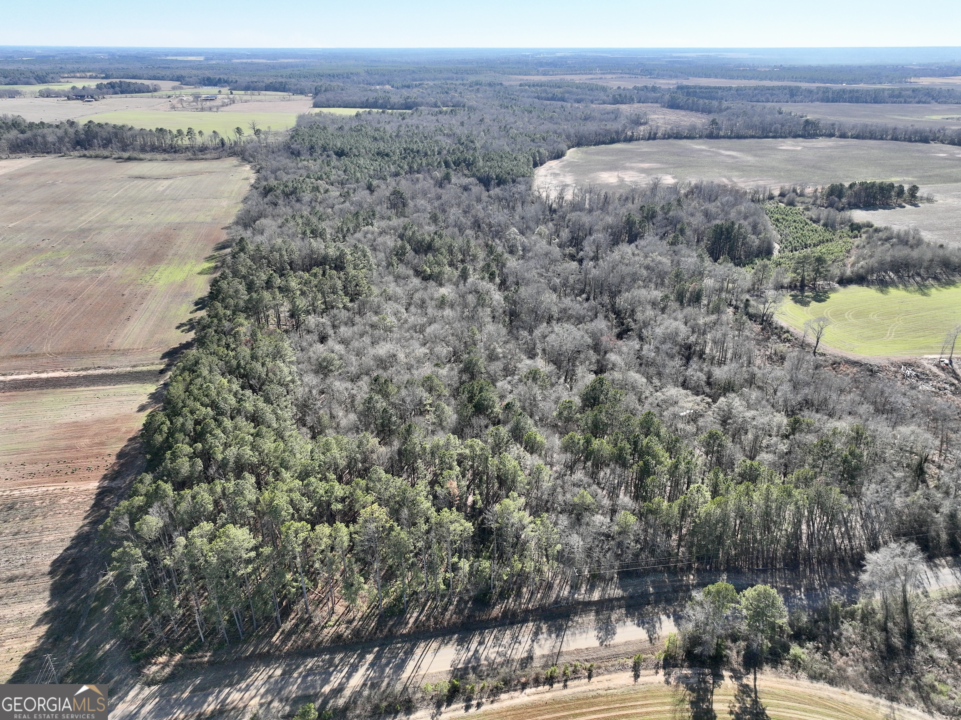 0 Jenkins Farm Road Byromville GA 31007