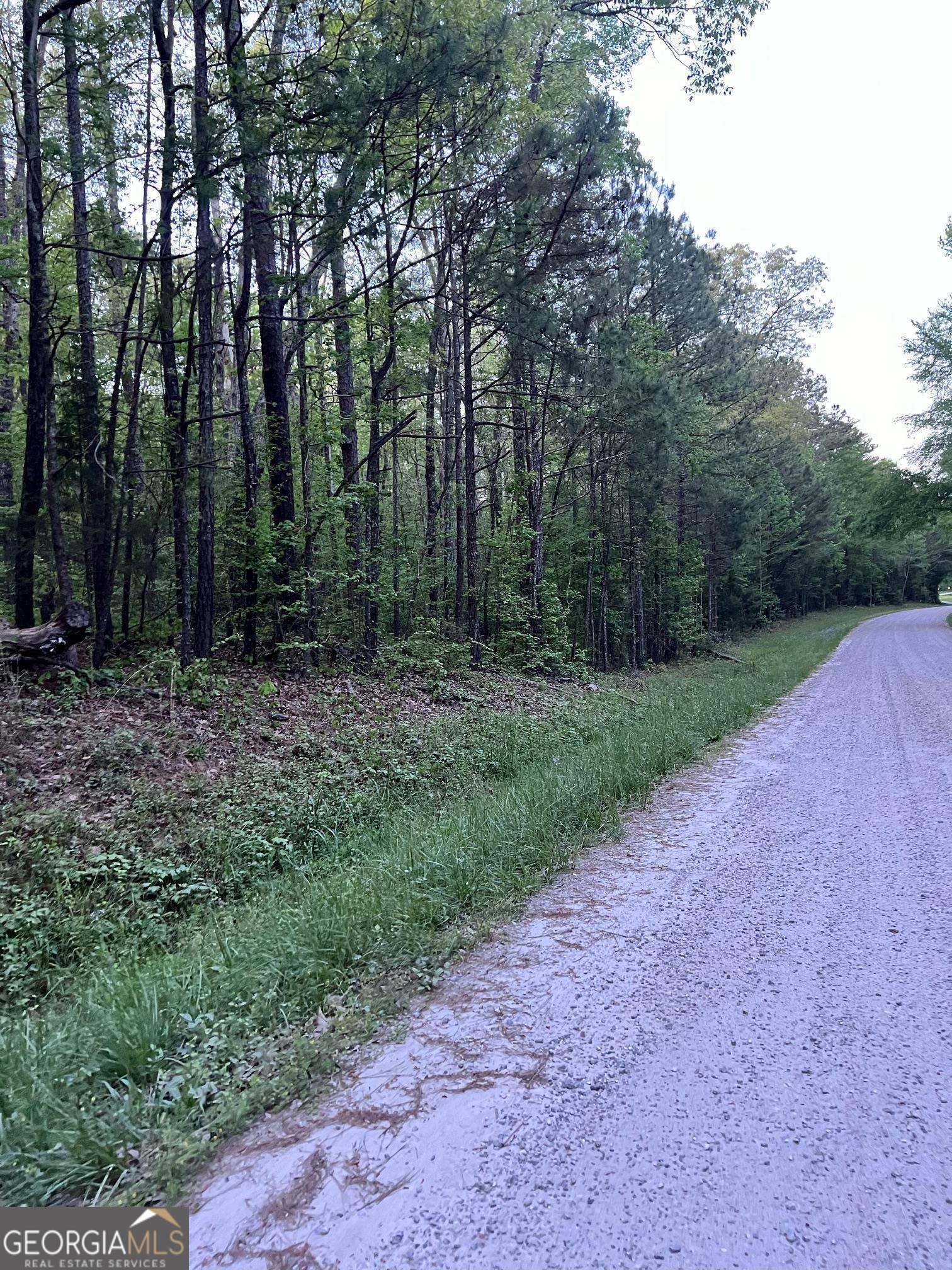 0 J T Elder Road Watkinsville GA 30677