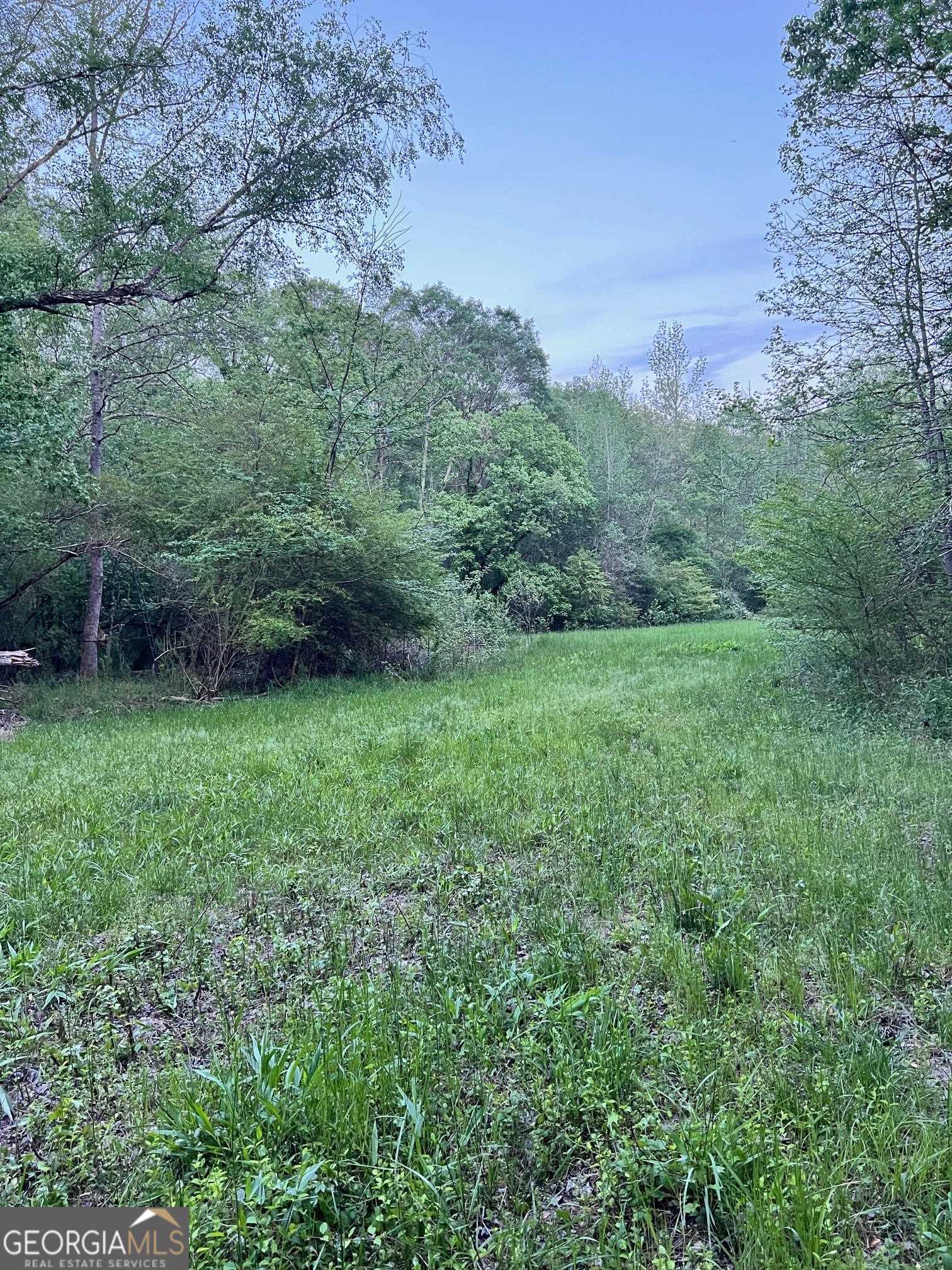 0 J T Elder Road Watkinsville GA 30677