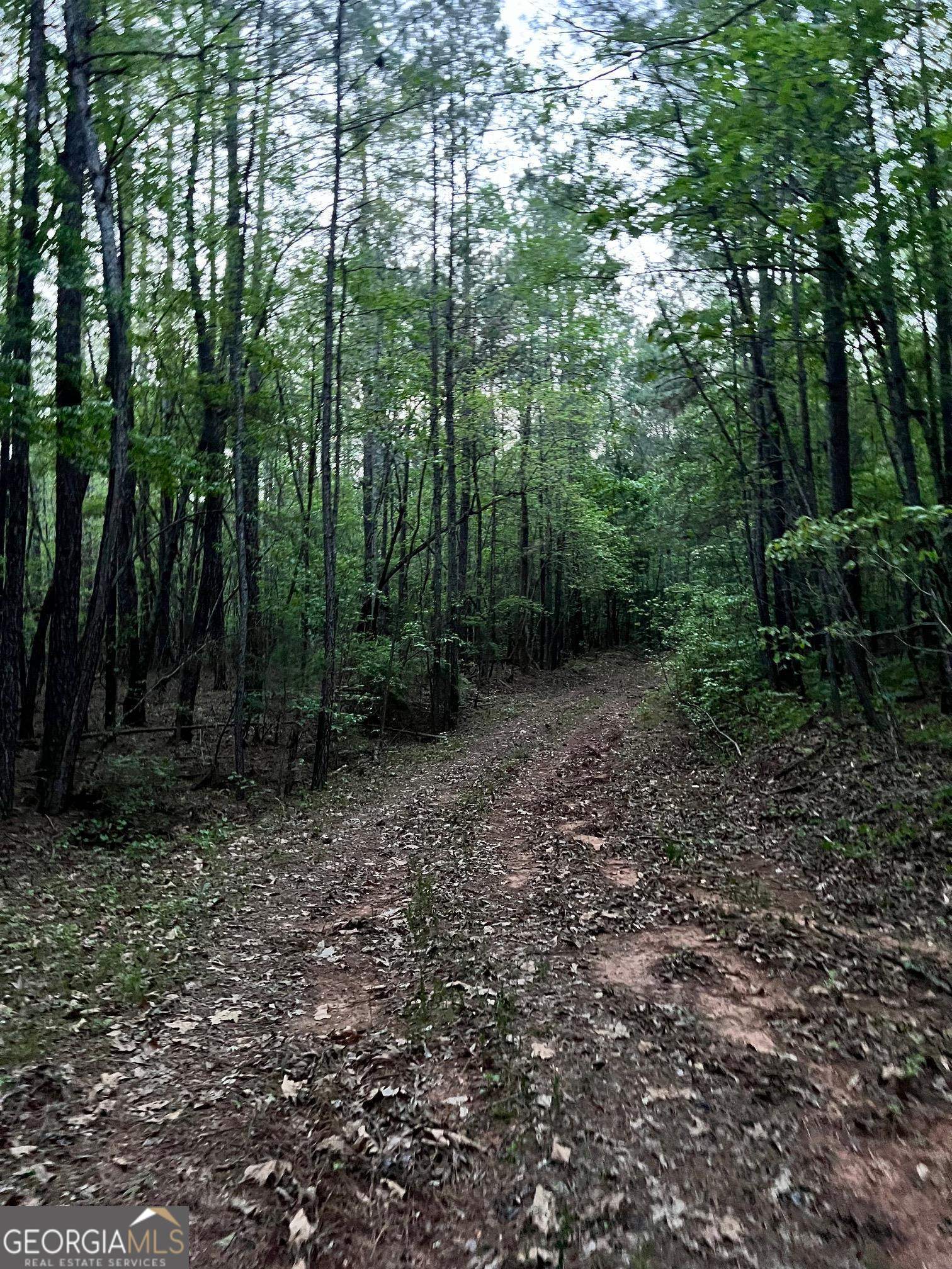 0 J T Elder Road Watkinsville GA 30677