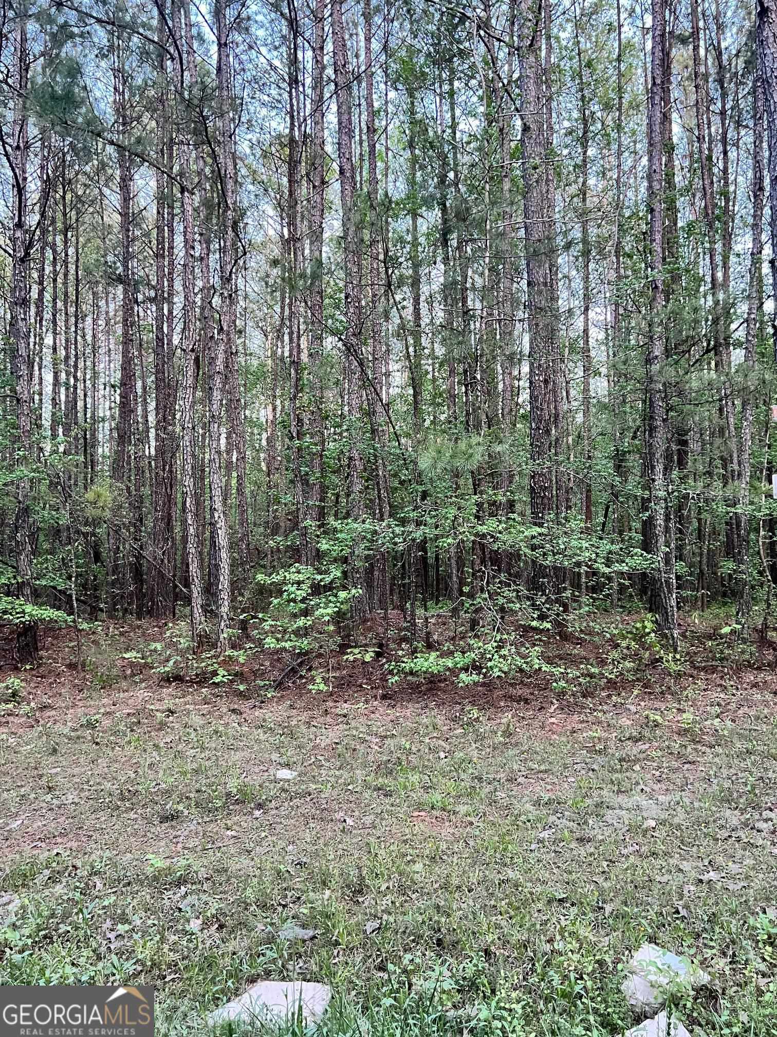 0 J T Elder Road Watkinsville GA 30677