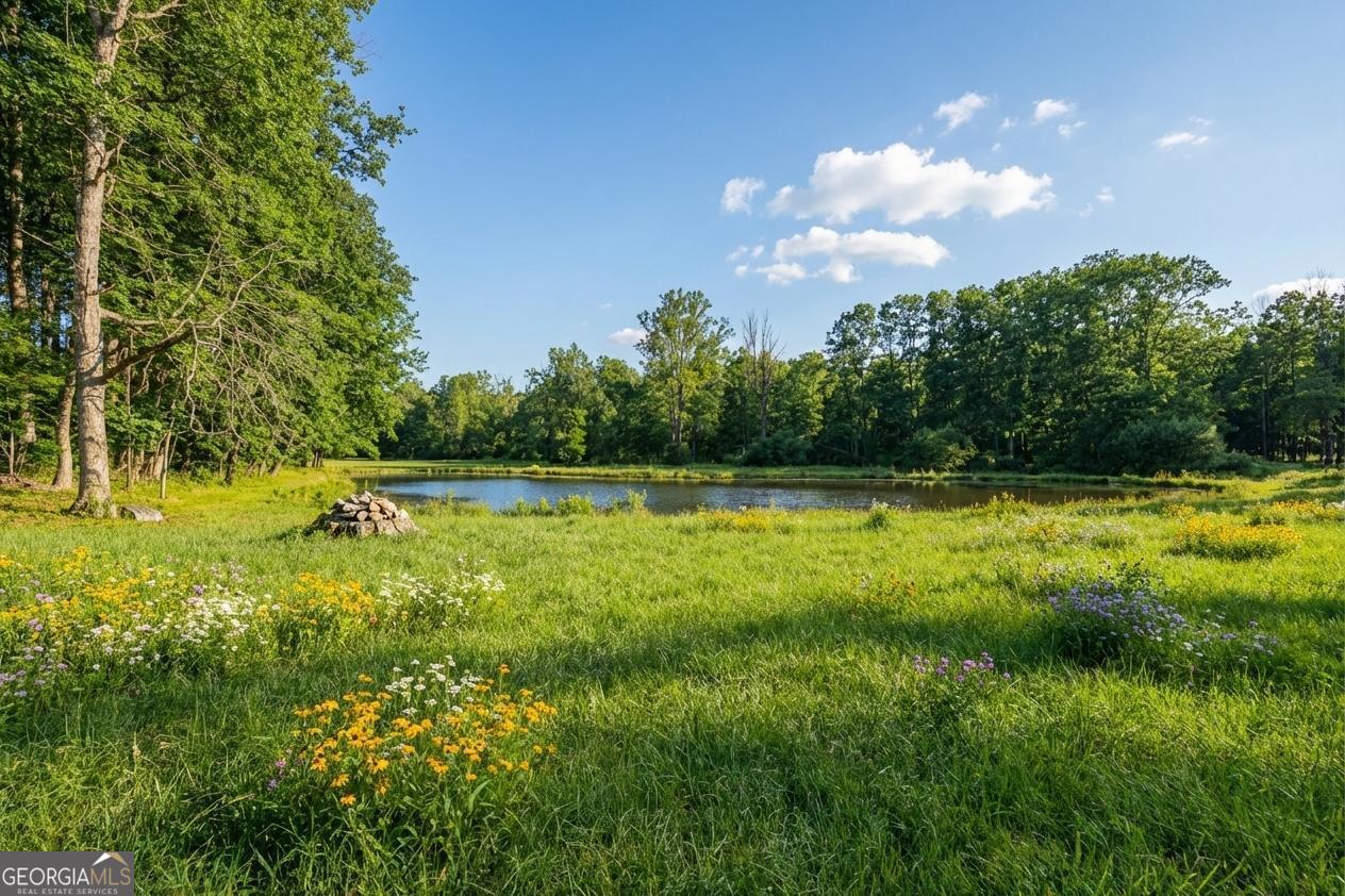 0 Horton Road Dahlonega GA 30533