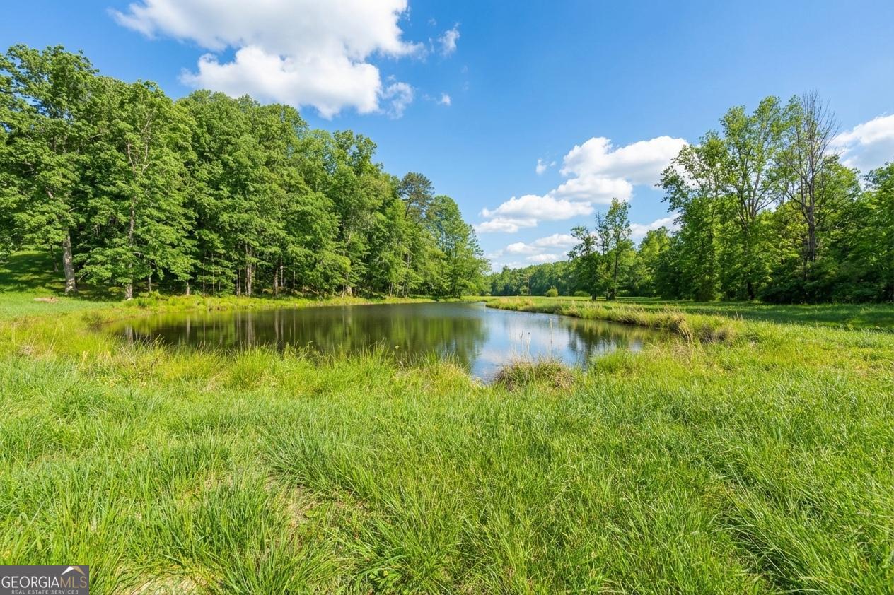 0 Horton Road Dahlonega GA 30533