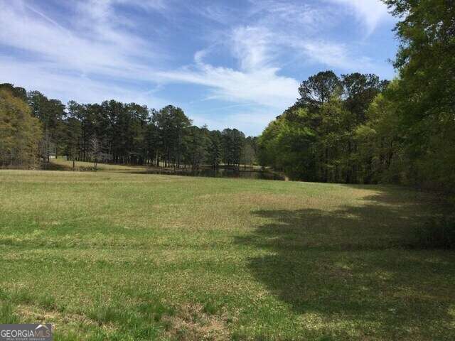 1305 & 1307 Highway 54 Highway E Fayetteville GA 30214