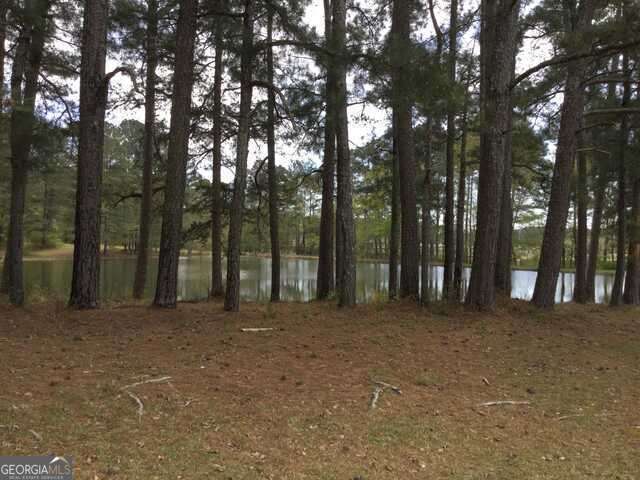 1305 & 1307 Highway 54 Highway E Fayetteville GA 30214