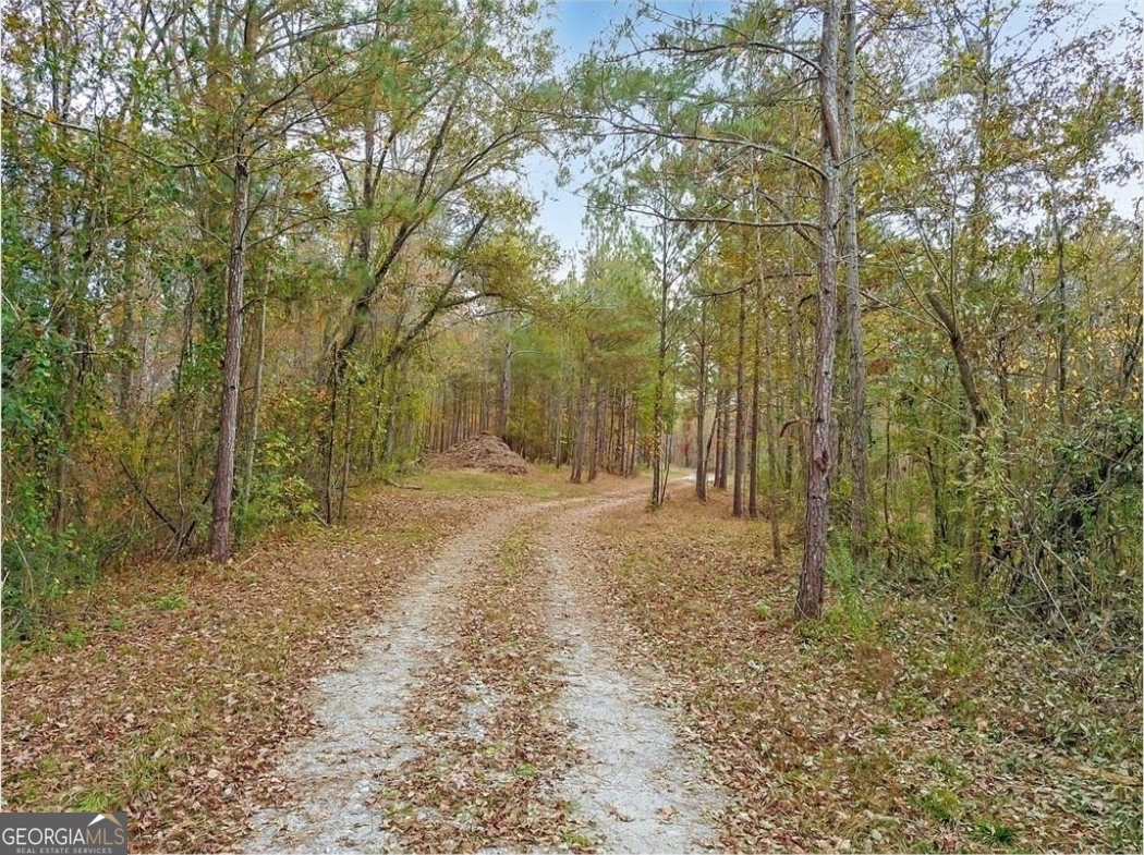 702 Liner Road Tallapoosa GA 30176