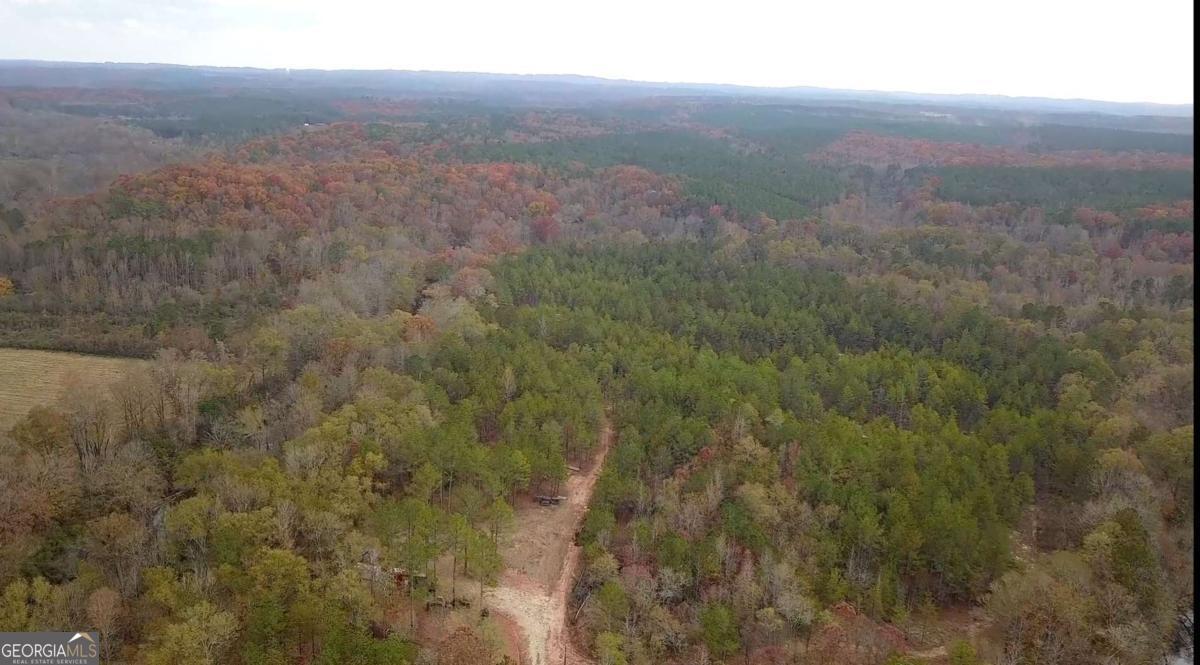 702 Liner Road Tallapoosa GA 30176