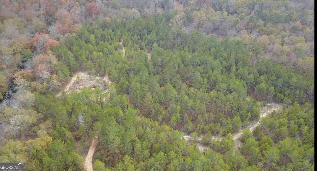 702 Liner Road Tallapoosa GA 30176