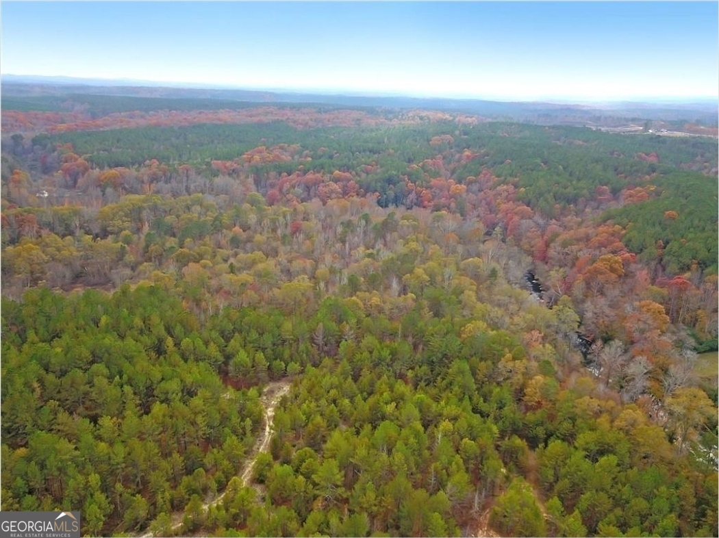 702 Liner Road Tallapoosa GA 30176
