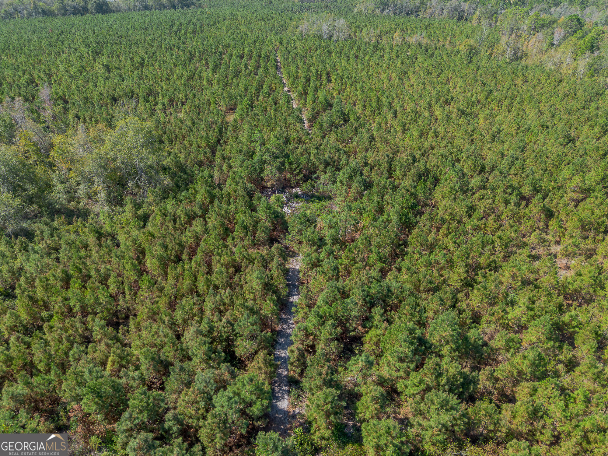 Tract 2 Kinnett Road Jacksonville GA 31544
