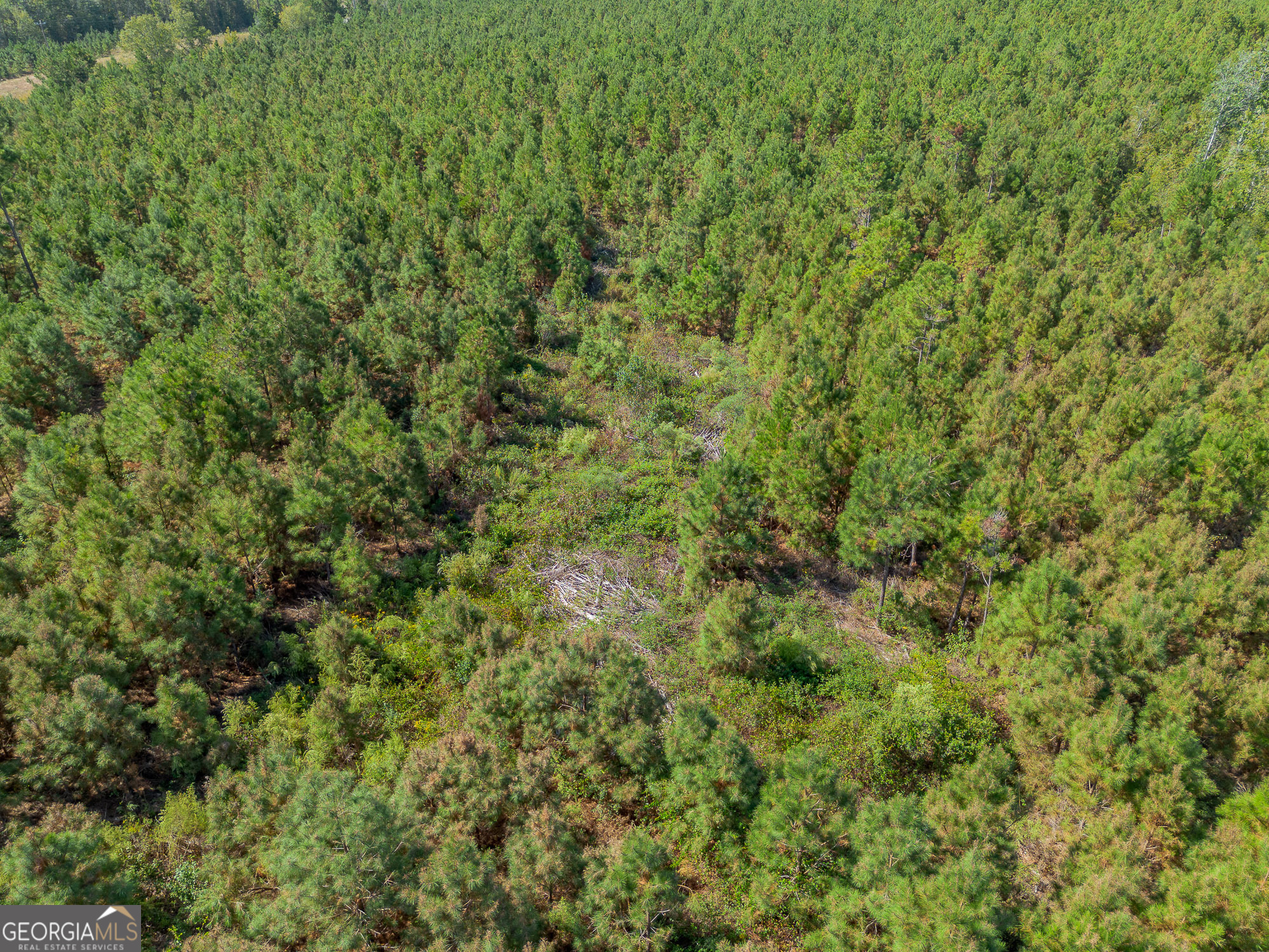 Tract 2 Kinnett Road Jacksonville GA 31544