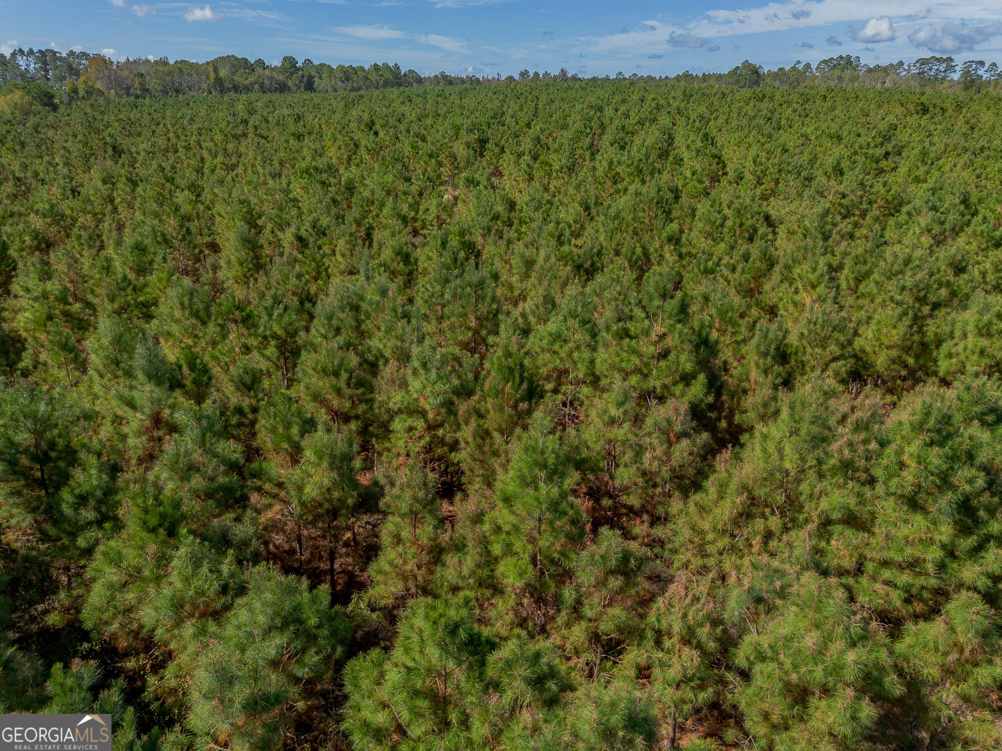 Tract 2 Kinnett Road Jacksonville GA 31544