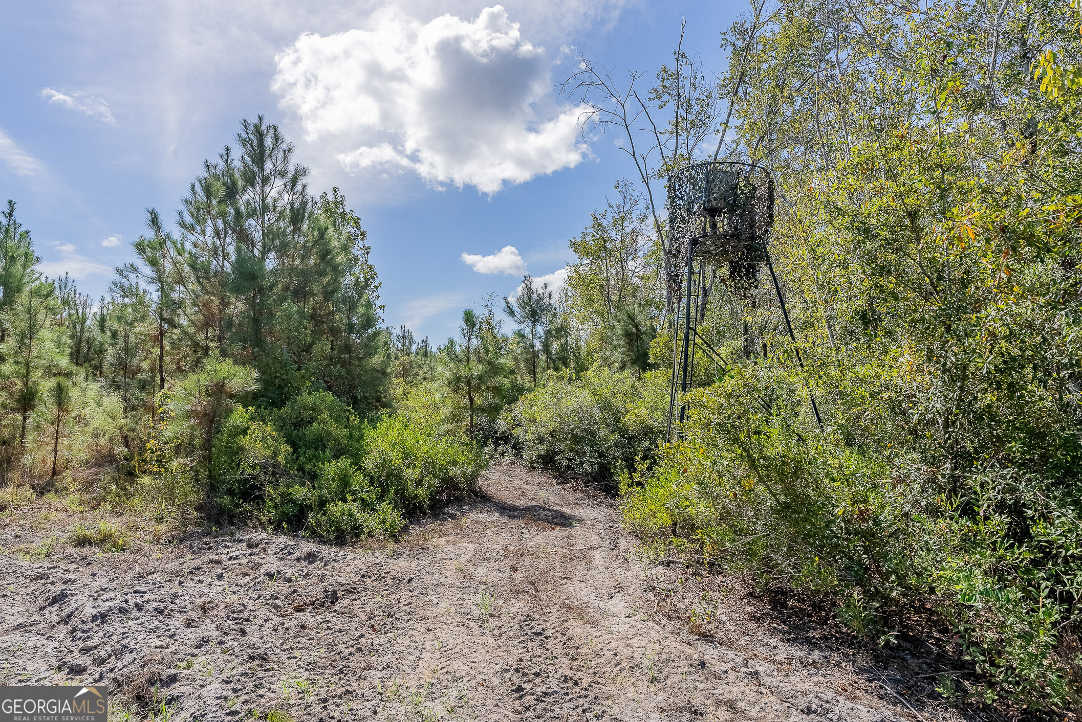 Tract 2 Kinnett Road Jacksonville GA 31544