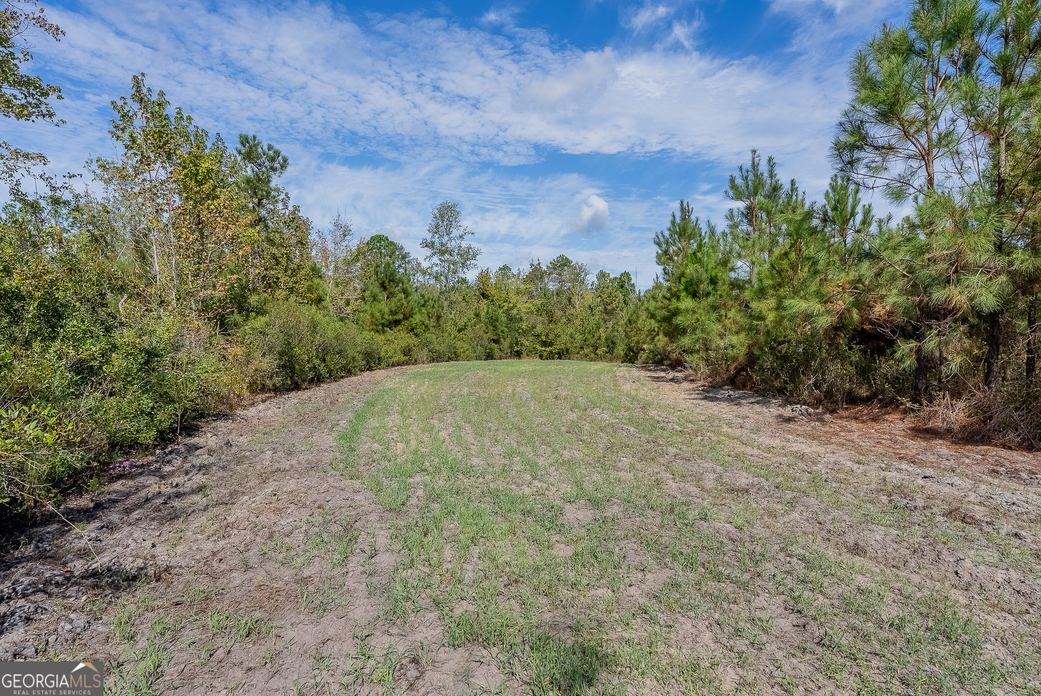 Tract 2 Kinnett Road Jacksonville GA 31544