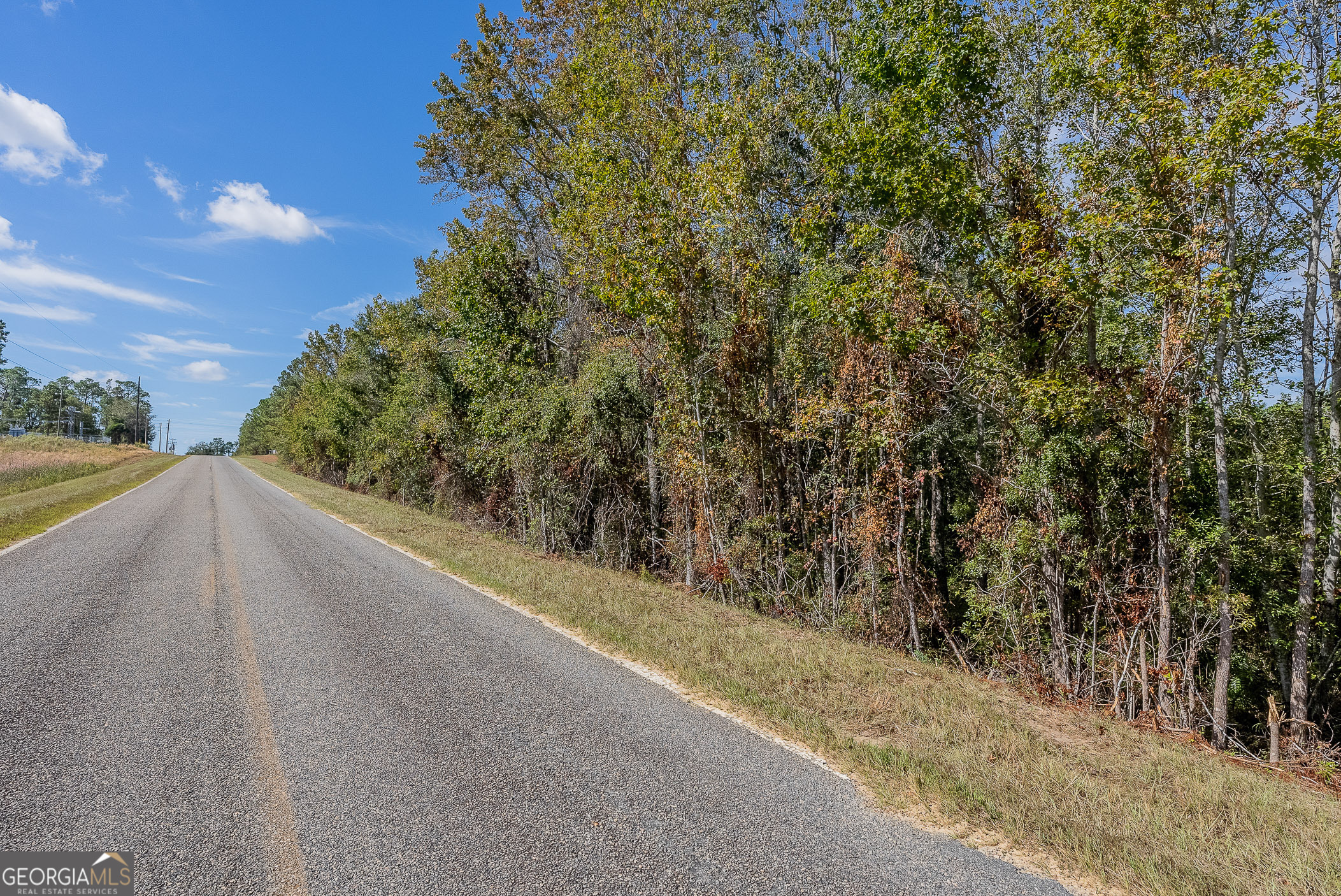 Tract 2 Kinnett Road Jacksonville GA 31544