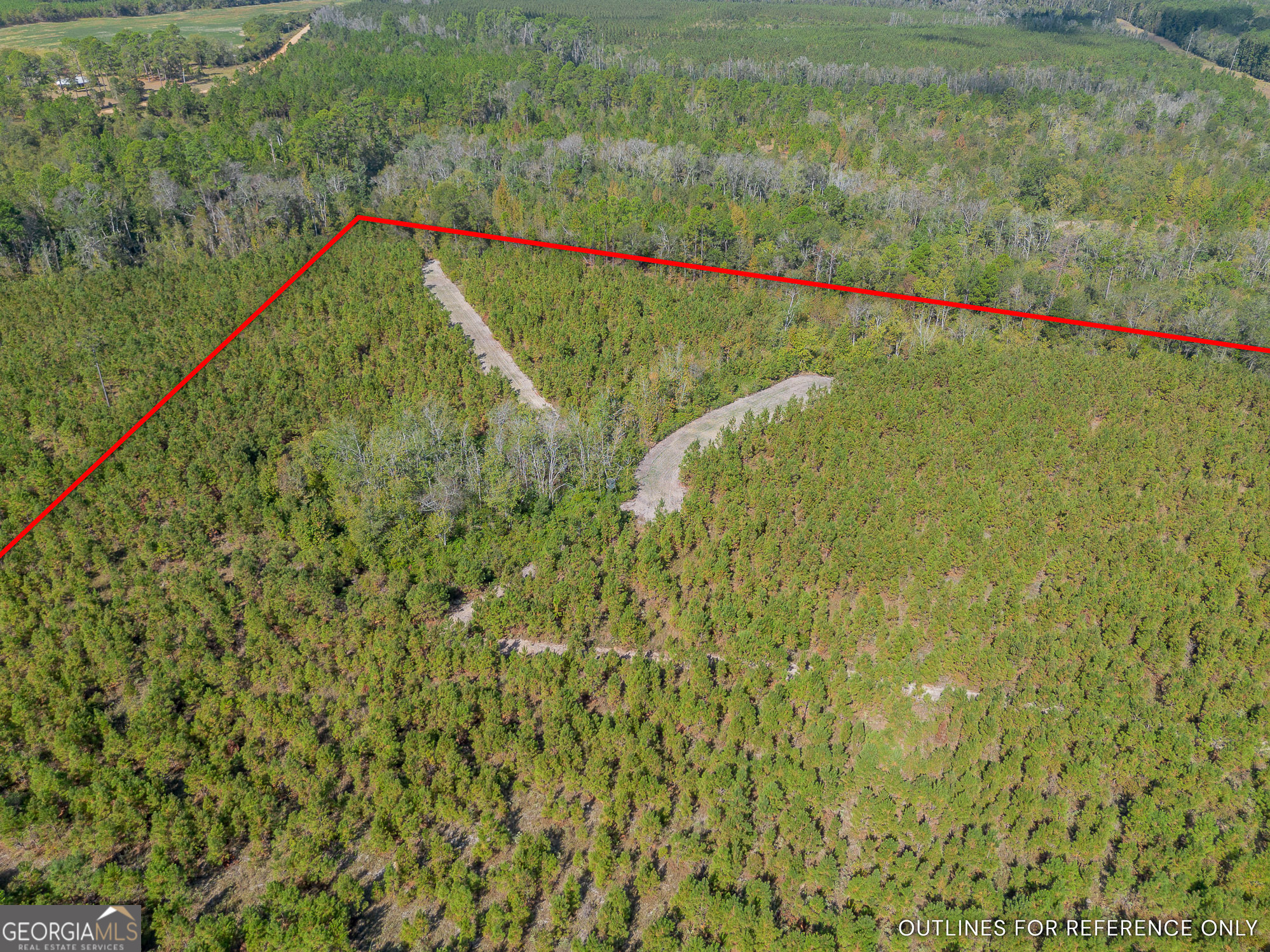 Tract 2 Kinnett Road Jacksonville GA 31544