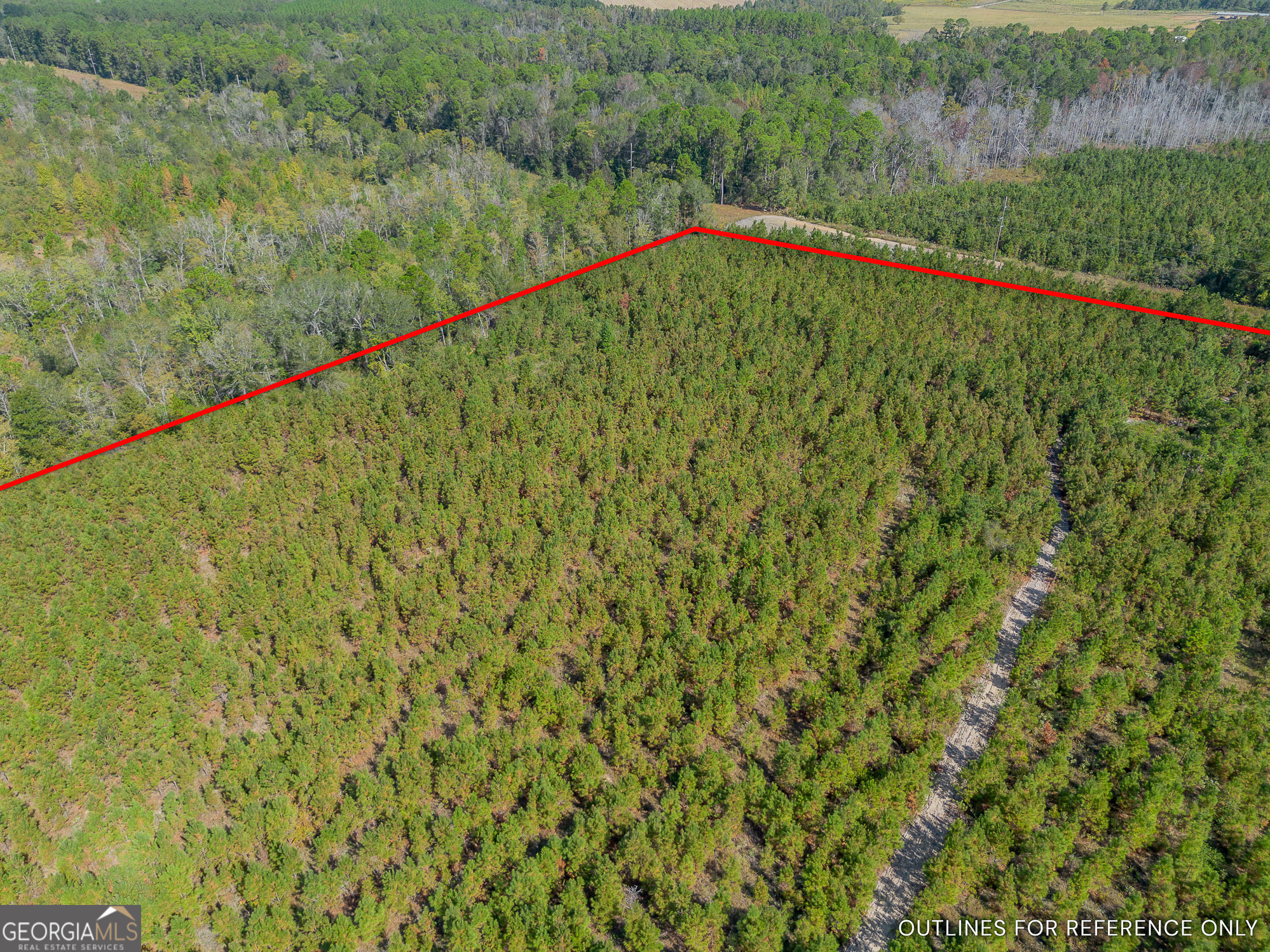 Tract 2 Kinnett Road Jacksonville GA 31544