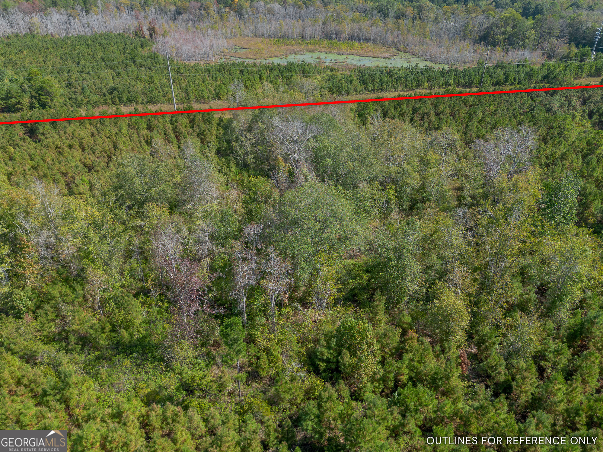 Tract 2 Kinnett Road Jacksonville GA 31544
